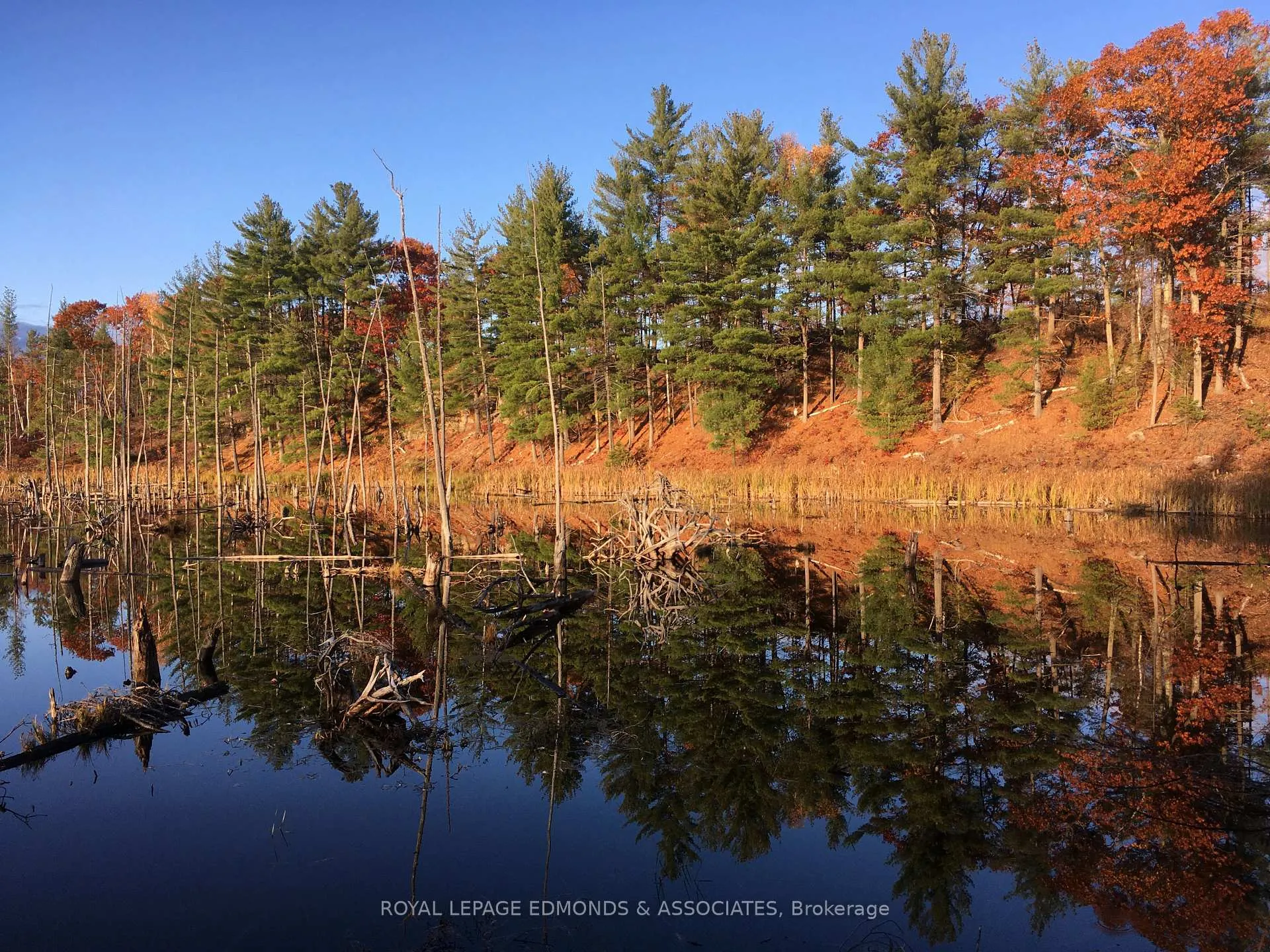 Photo 30 of Reiche Road, North Algona Wilberforce, North Algona/Wilberforce Twp — HOMEH