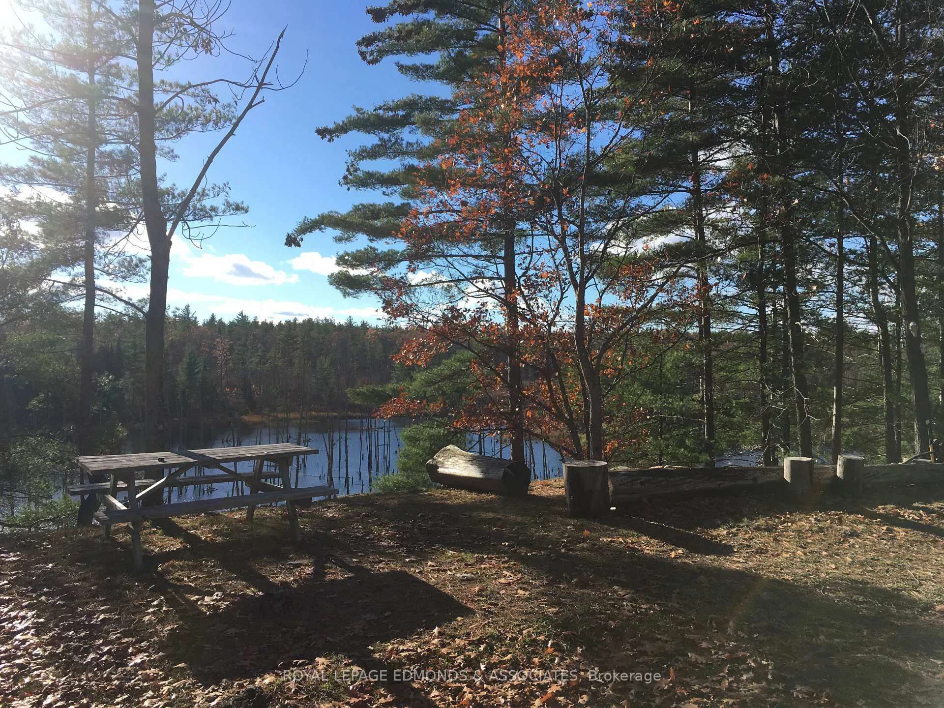 Photo 32 of Reiche Road, North Algona Wilberforce, North Algona/Wilberforce Twp — HOMEH