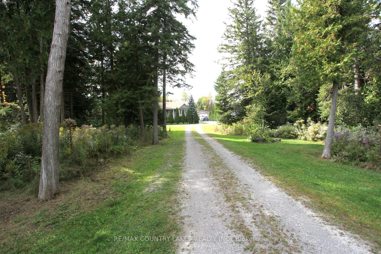 Photo 38 of 53 Cedar Bay Road, Kawartha Lakes, Carden — HOMEH