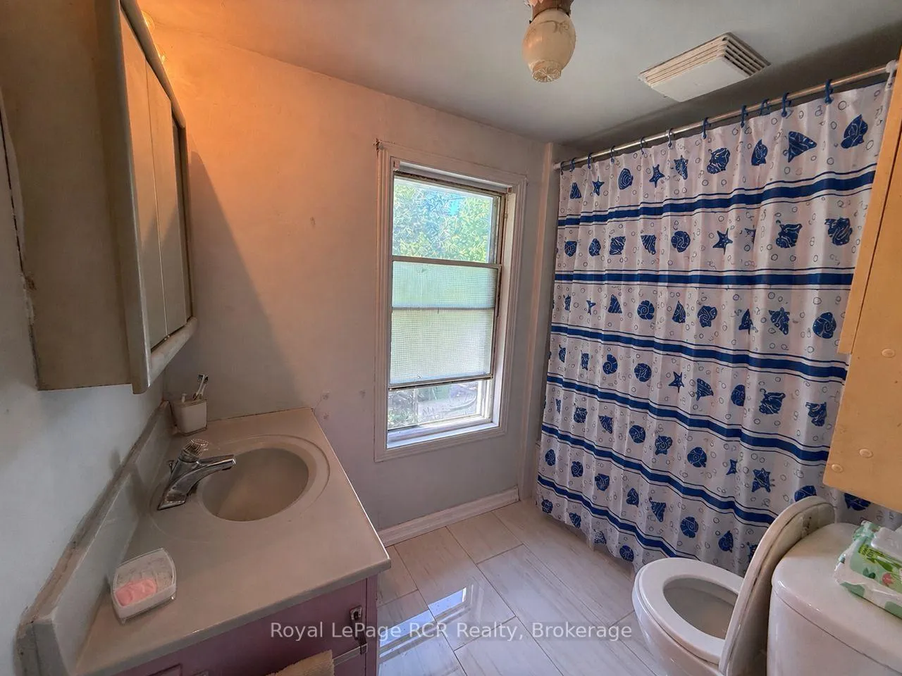 Photo 9 of 137 Torry Street, Grey Highlands — HOMEH