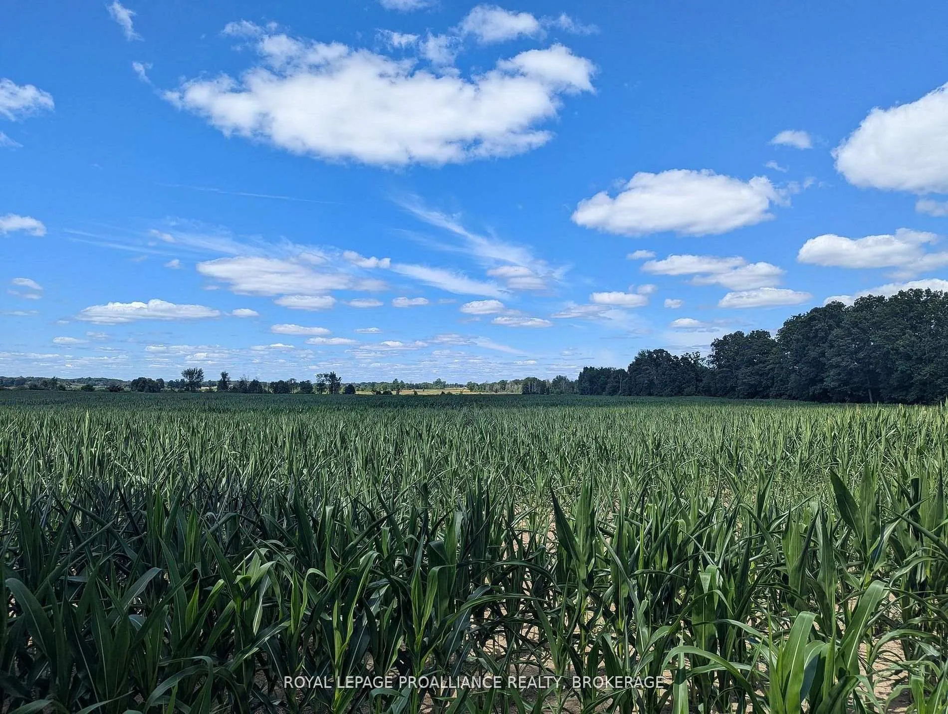 Photo of 2622 4th Concession Road
