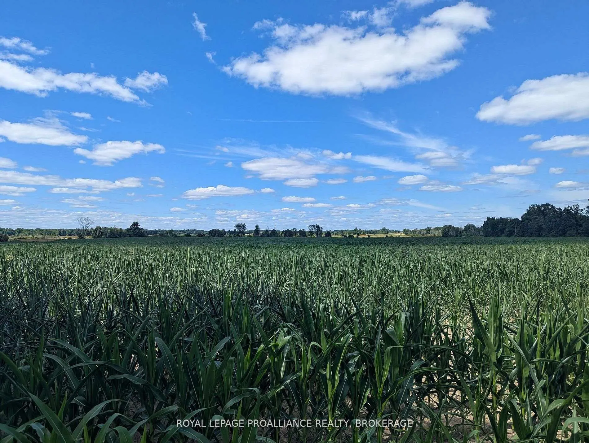 Photo 2 of 2622 4th Concession Road, Kingston, Kingston East (incl CFB Kingston) — HOMEH