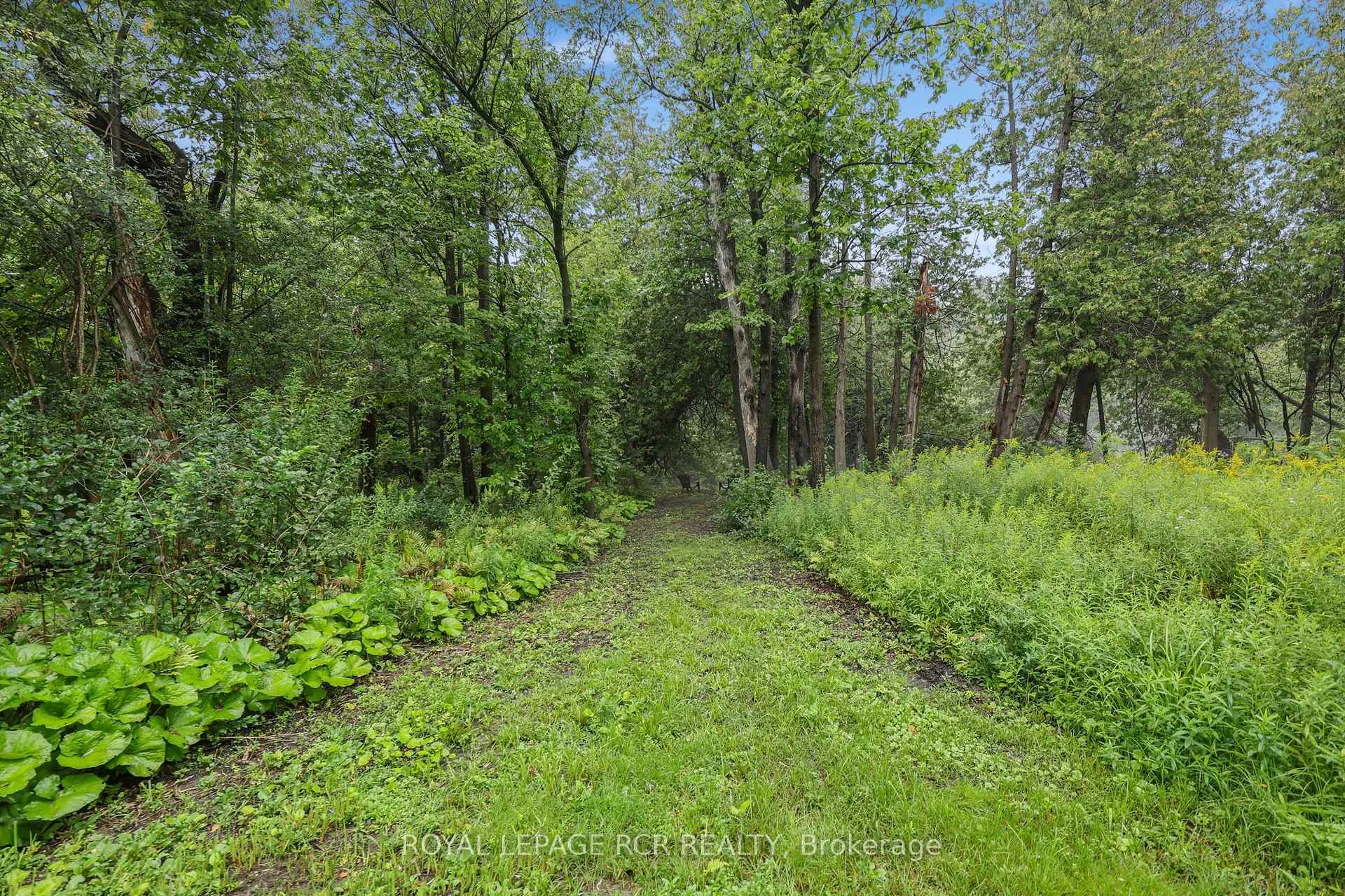 Photo 37 of 308451 Hockley Road, Mono, Rural Mono — HOMEH