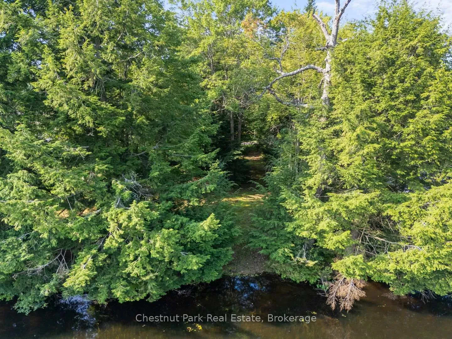 Photo 10 of 1025 Moe's Road, Bracebridge, Draper — HOMEH
