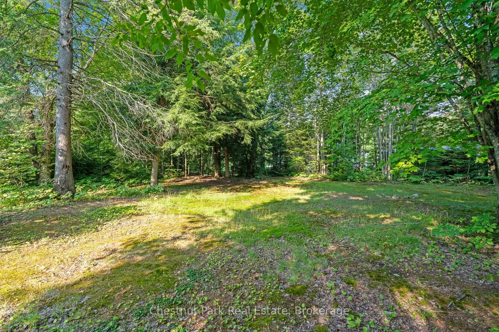 Photo 32 of 1025 Moe's Road, Bracebridge, Draper — HOMEH