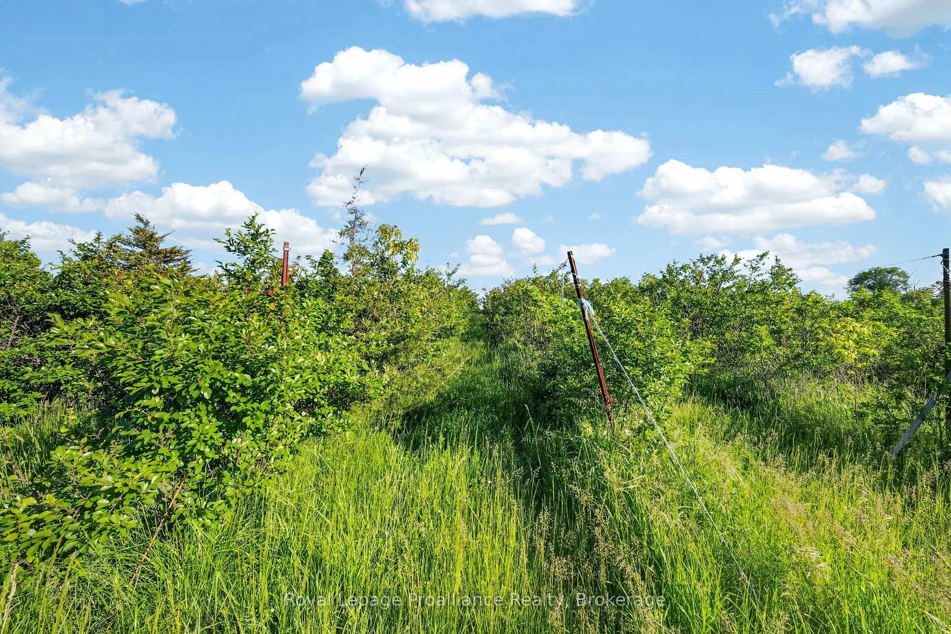 Photo 24 of 98 Frankford Road, Quinte West, Sidney Ward — HOMEH