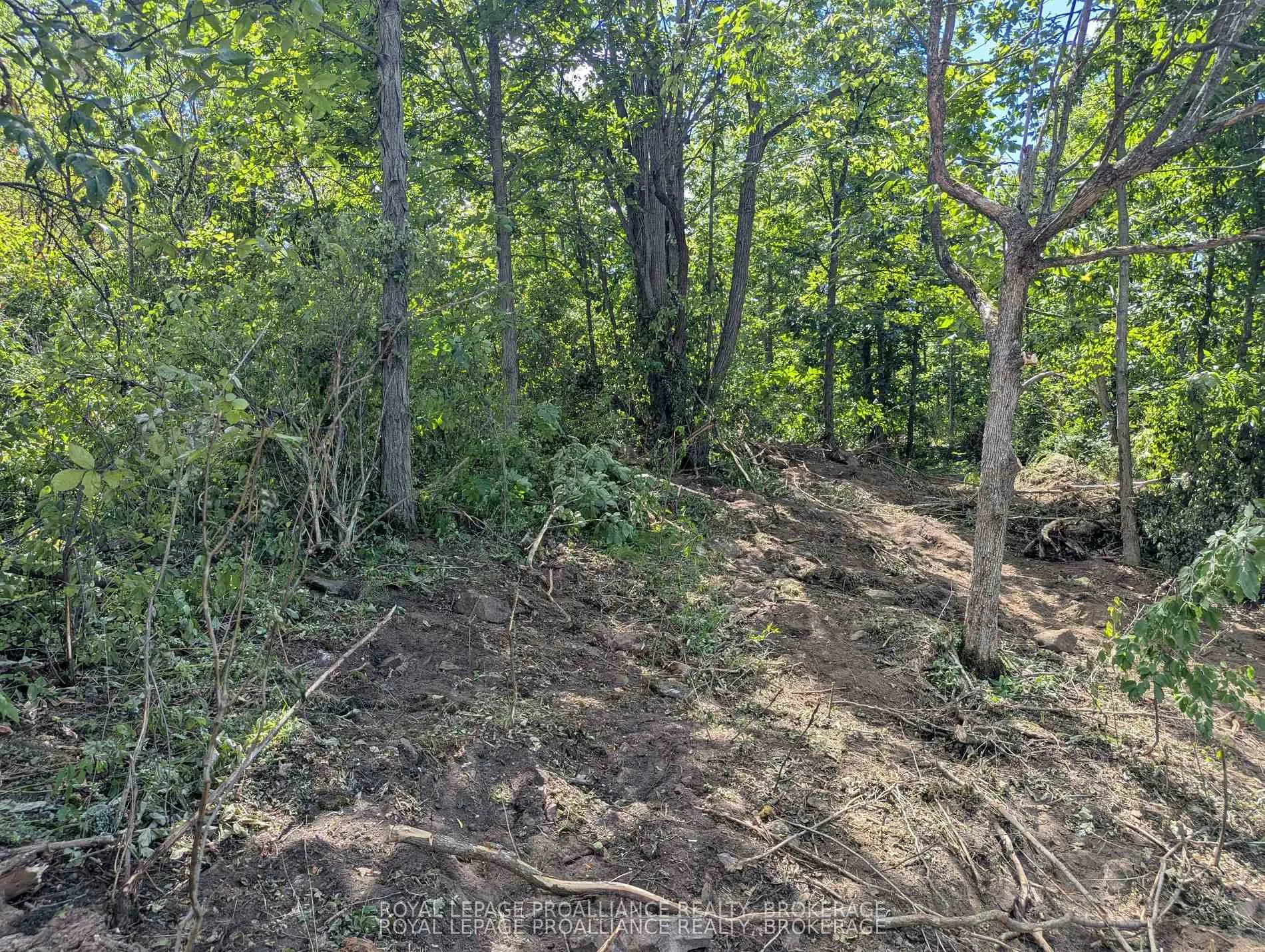 Photo 4 of 2621 4th Concession Road, Kingston, City North of 401 — HOMEH