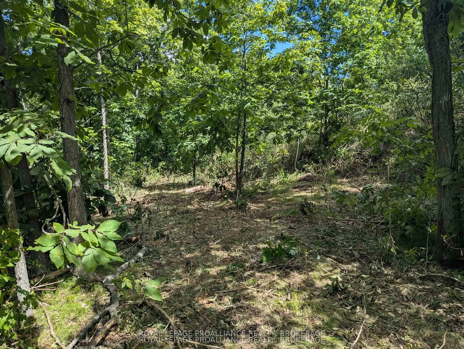 Photo 5 of 2621 4th Concession Road, Kingston, City North of 401 — HOMEH