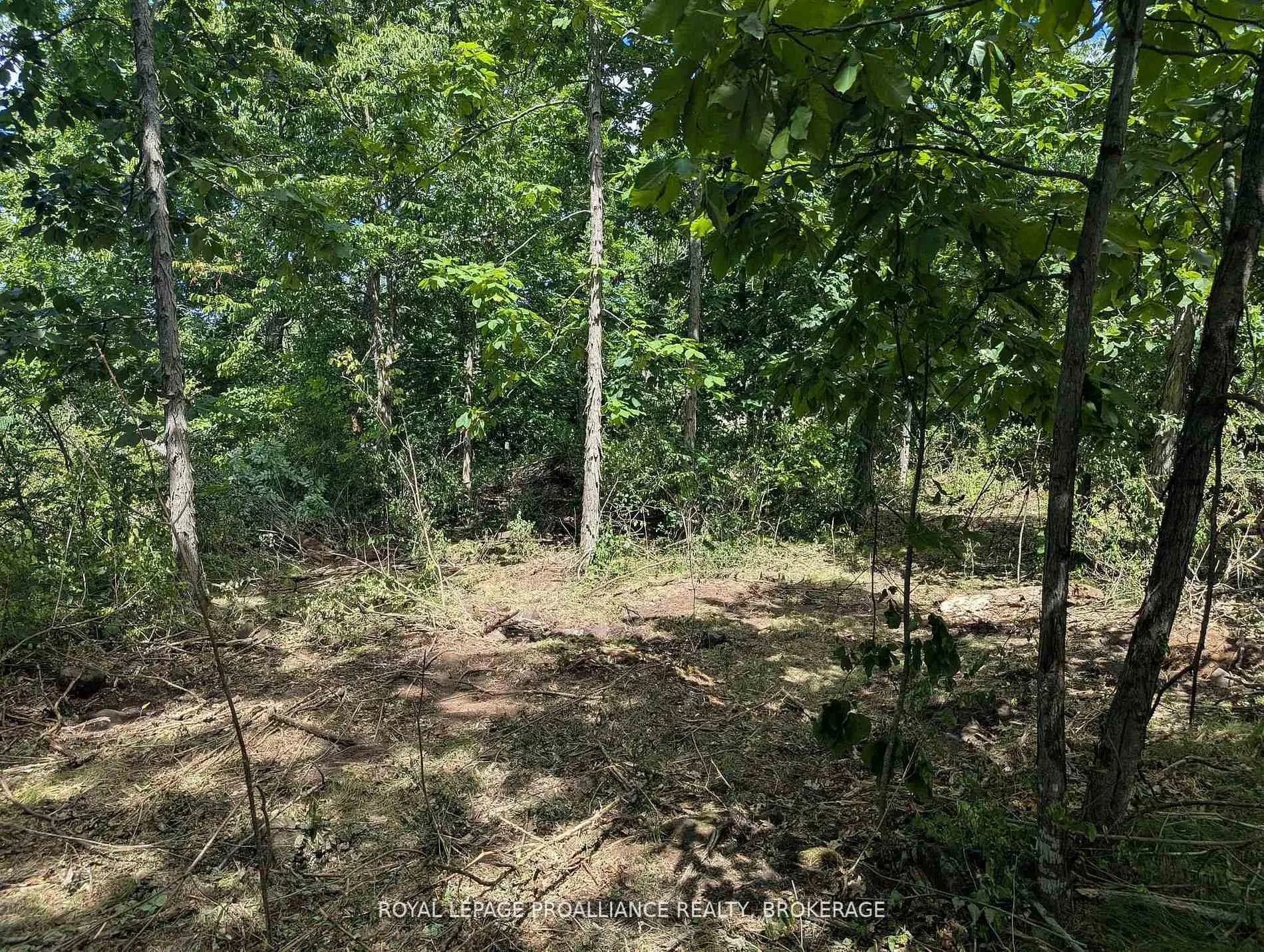Photo 6 of 2621 4th Concession Road, Kingston, City North of 401 — HOMEH