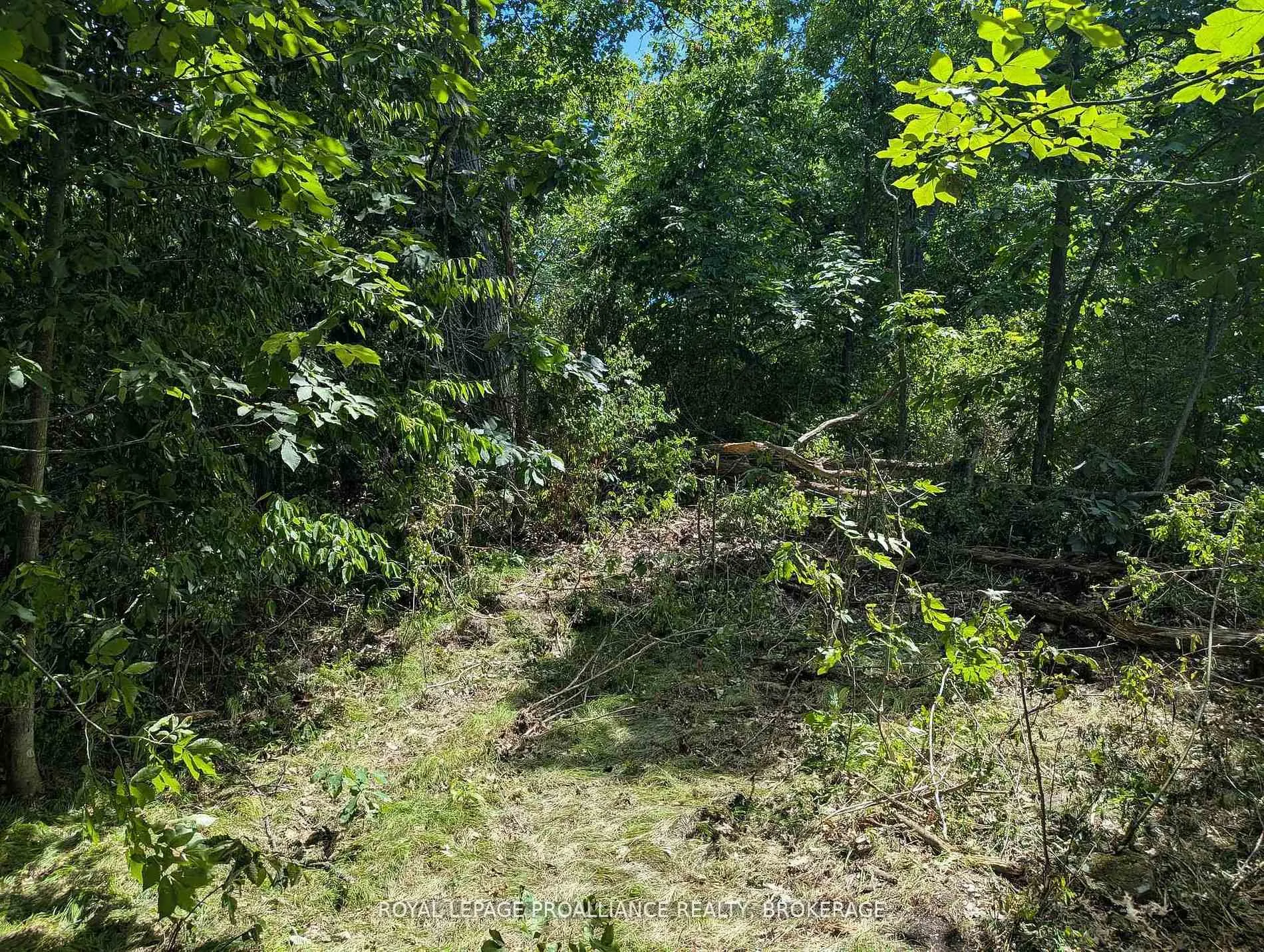 Photo 7 of 2621 4th Concession Road, Kingston, City North of 401 — HOMEH
