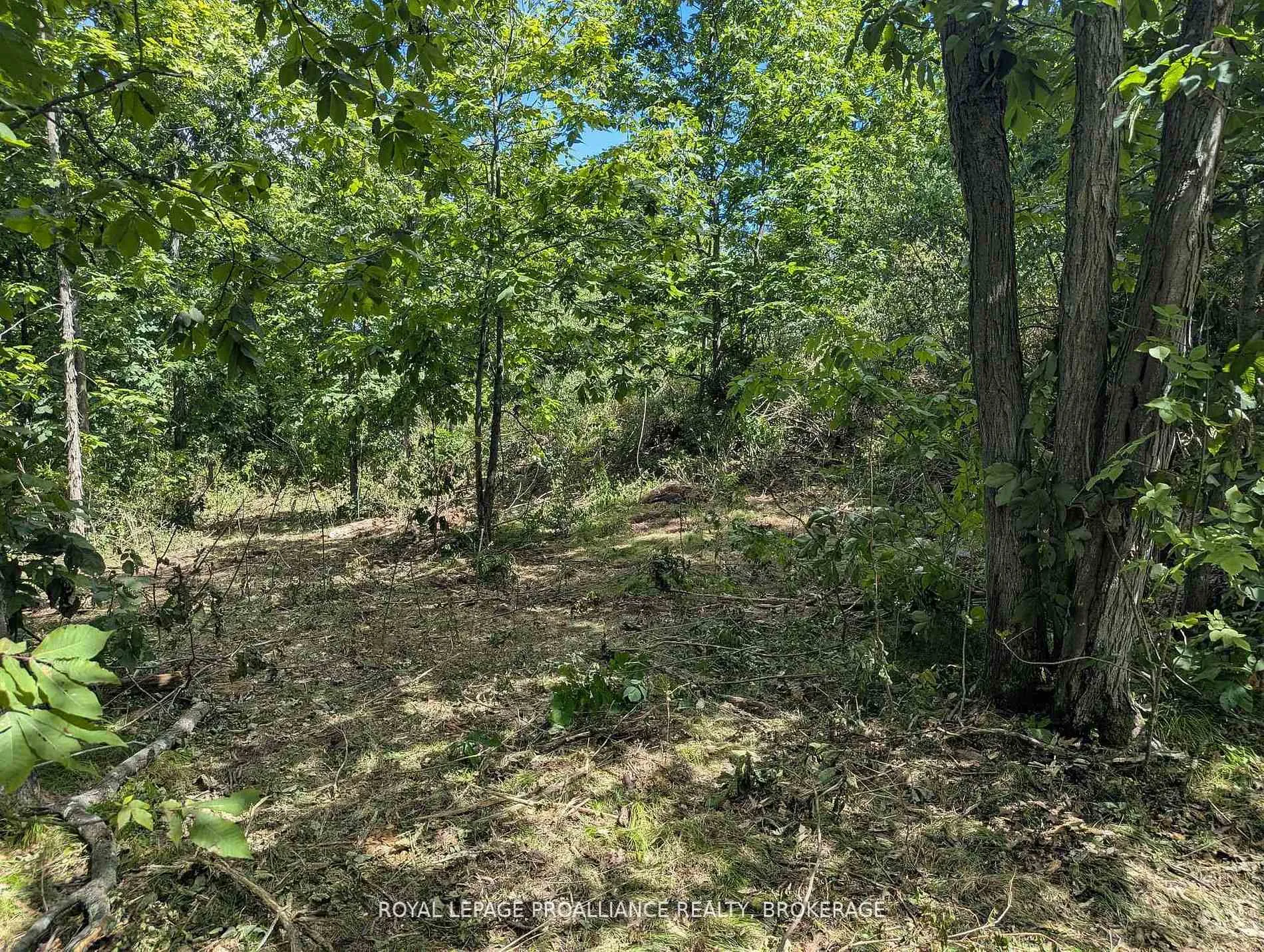 Photo 8 of 2621 4th Concession Road, Kingston, City North of 401 — HOMEH