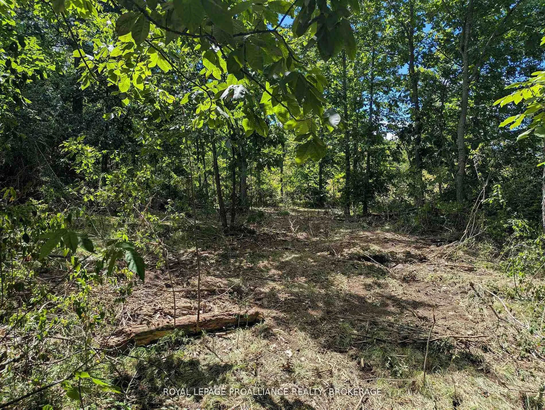 Photo 9 of 2621 4th Concession Road, Kingston, City North of 401 — HOMEH