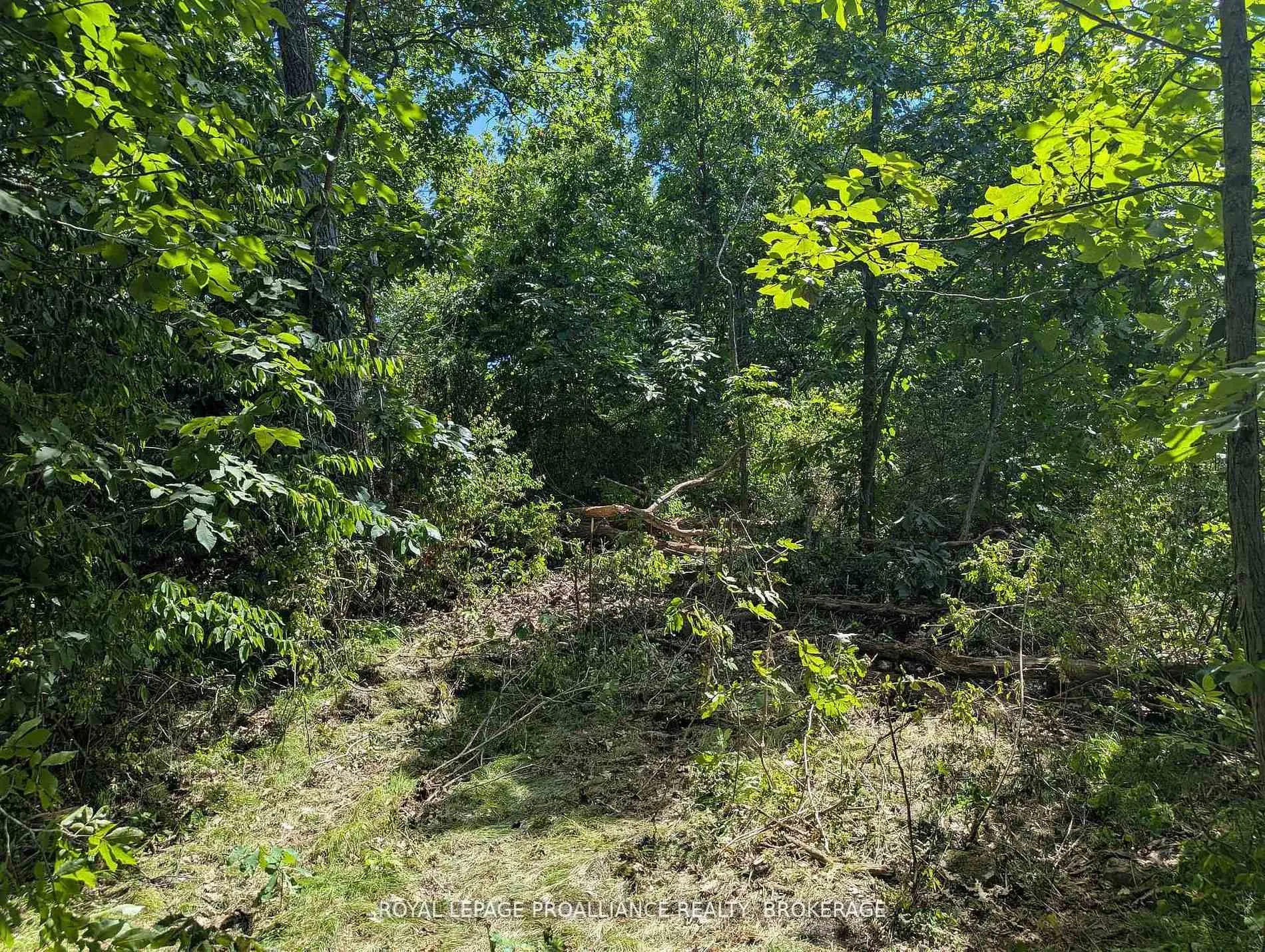 Photo 11 of 2621 4th Concession Road, Kingston, City North of 401 — HOMEH