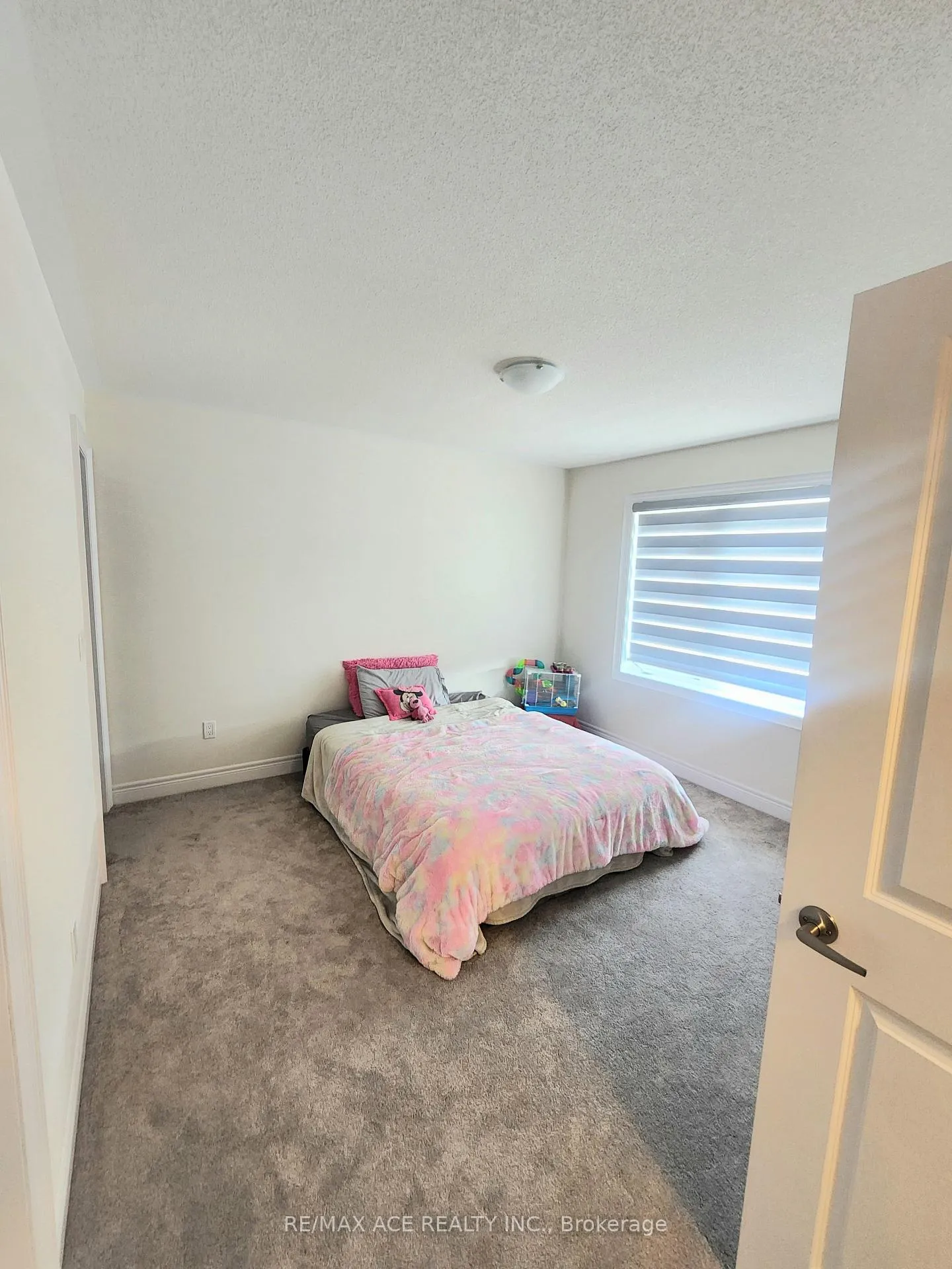 Photo 18 of 22 Rogerson Street, Clarington, Newcastle — HOMEH