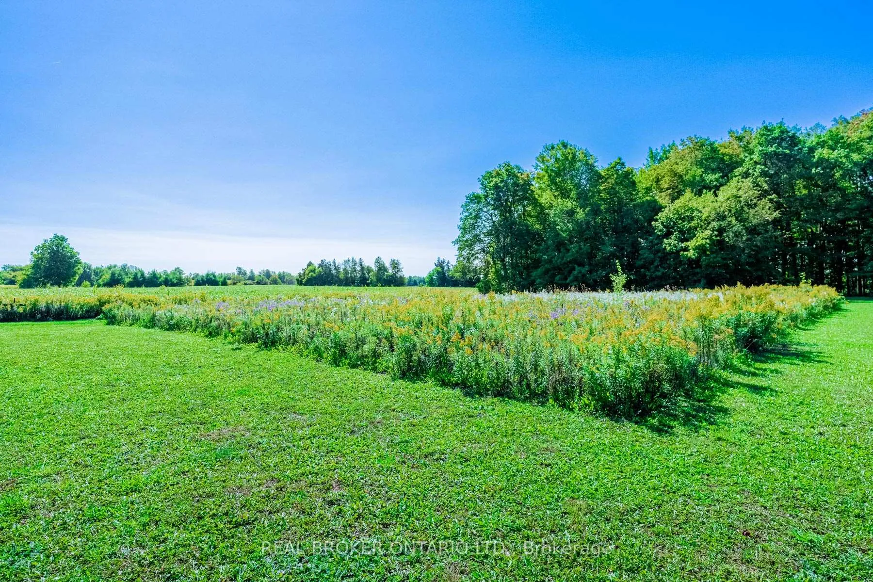 Photo 14 of 13908 Trafalgar Road, Halton Hills, Rural Halton Hills — HOMEH
