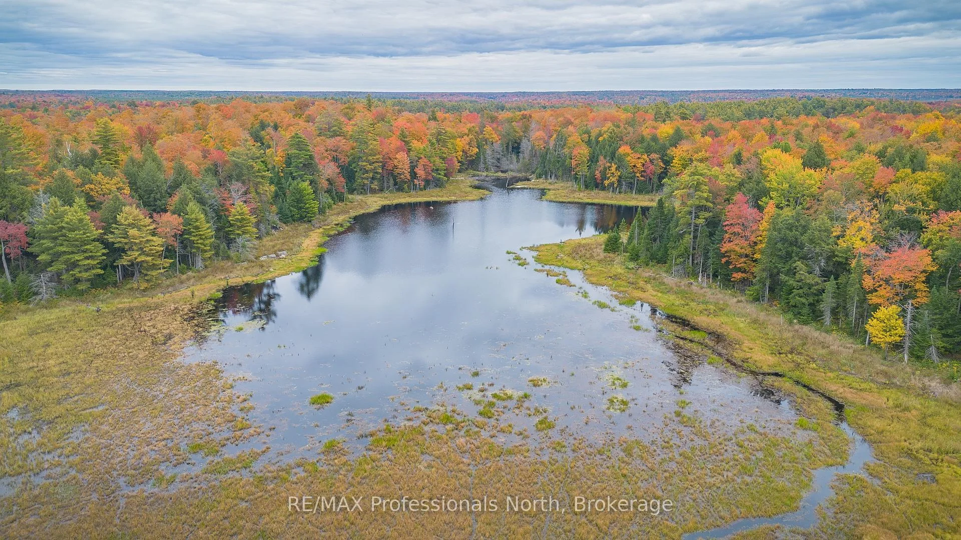 Photo 91 of 1289 Purbrook Road, Bracebridge, Draper — HOMEH