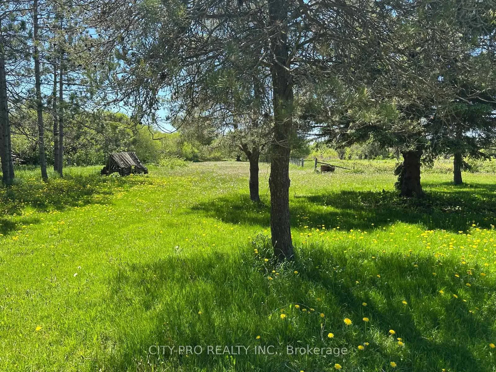 Photo 24 of Unit Main Floor, 513370 2nd Line, Amaranth, Rural Amaranth — HOMEH