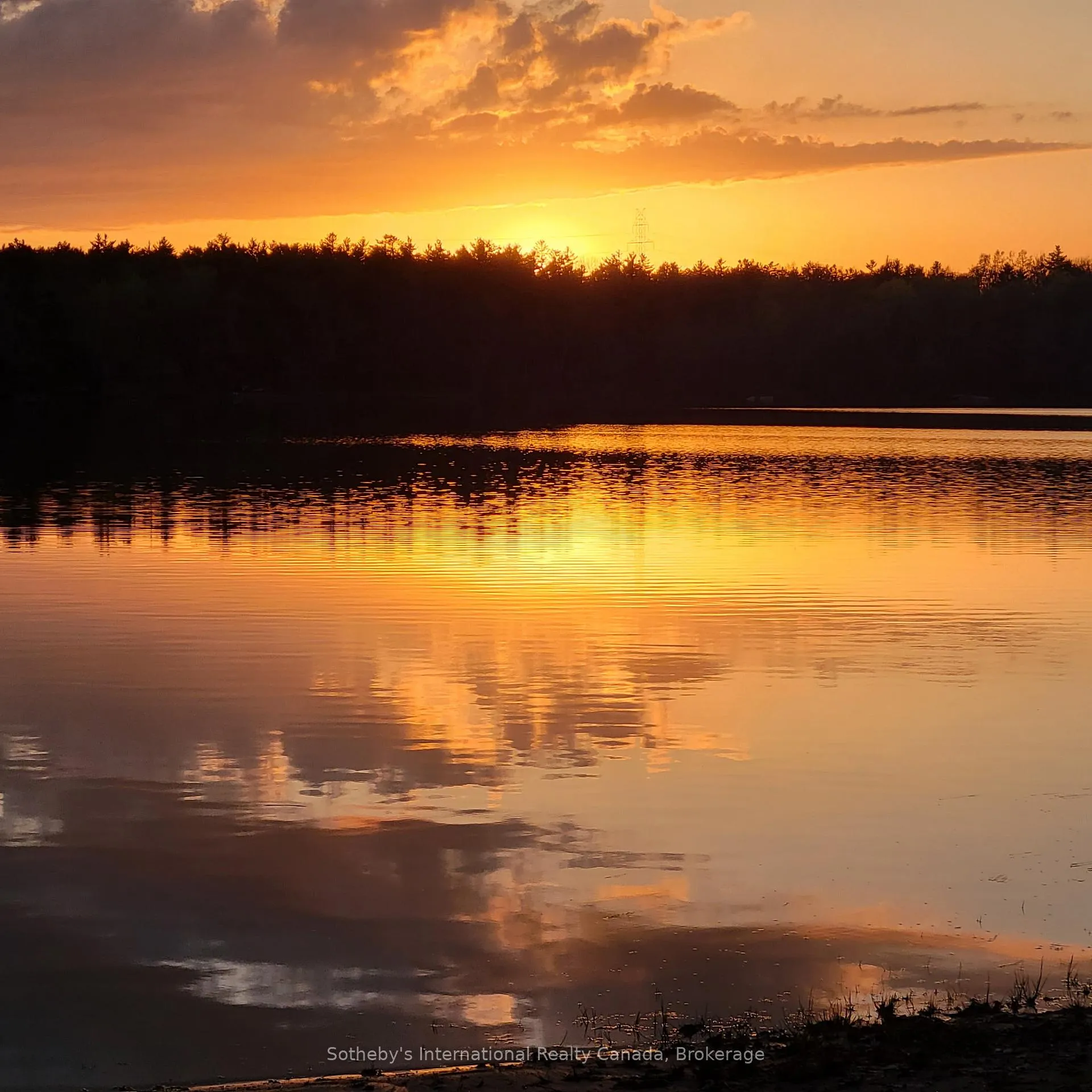 Photo 9 of 1083 Thomas Road, Gravenhurst, Ryde — HOMEH