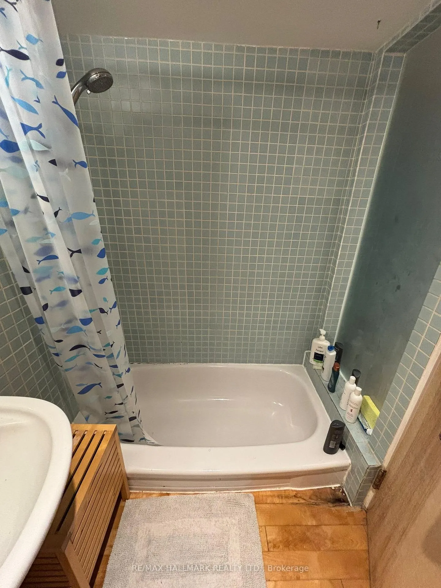 Photo 21 of Unit Lower, 321 Palmerston Boulevard, Toronto, Palmerston-Little Italy — HOMEH
