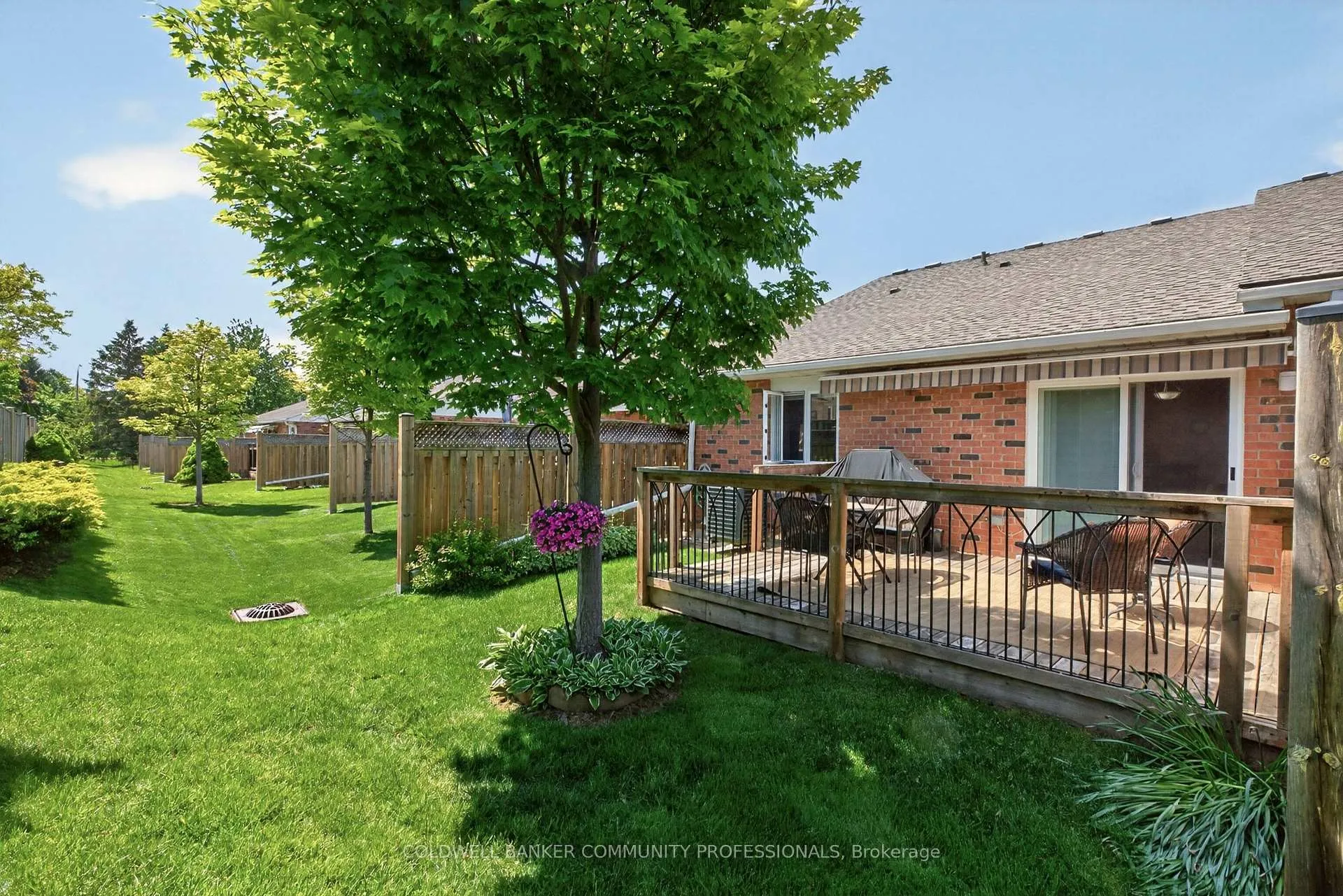 Photo 38 of Unit 6, 25 Kitty Murray Lane, Hamilton, Meadowlands — HOMEH