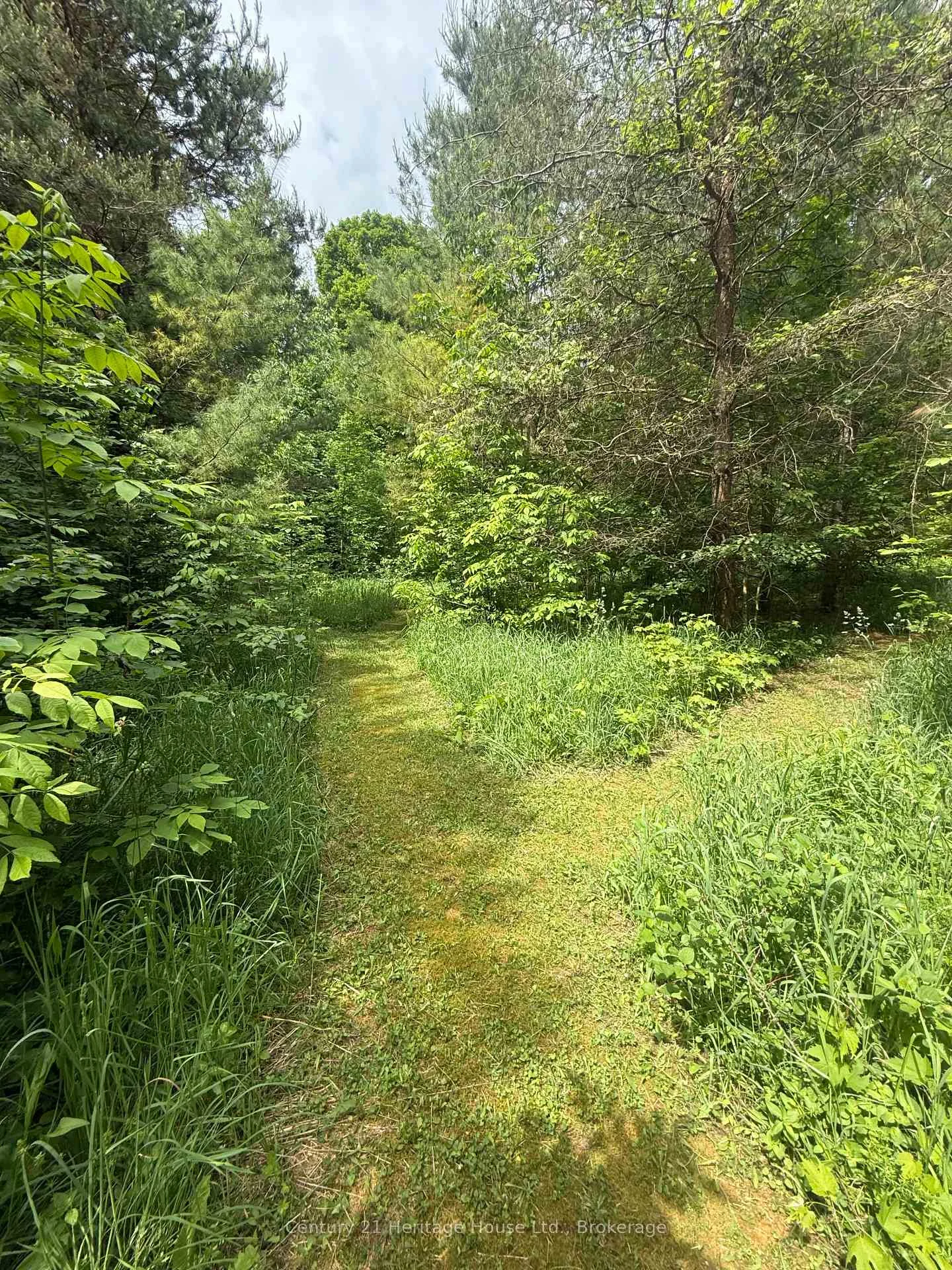 Photo 19 of 395551 2 Concession, Chatsworth — HOMEH