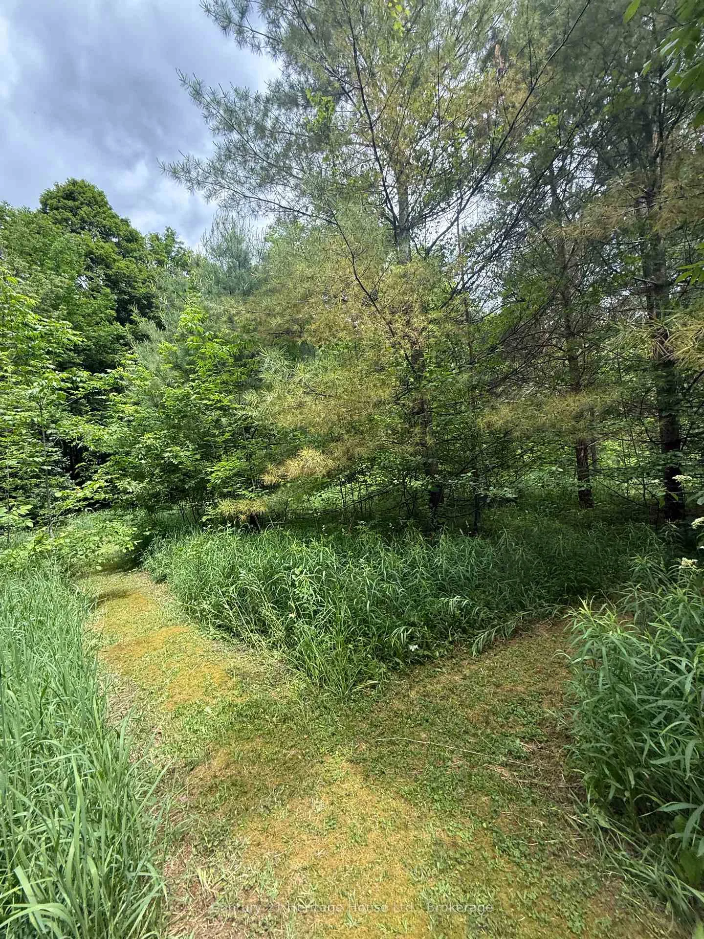 Photo 20 of 395551 2 Concession, Chatsworth — HOMEH