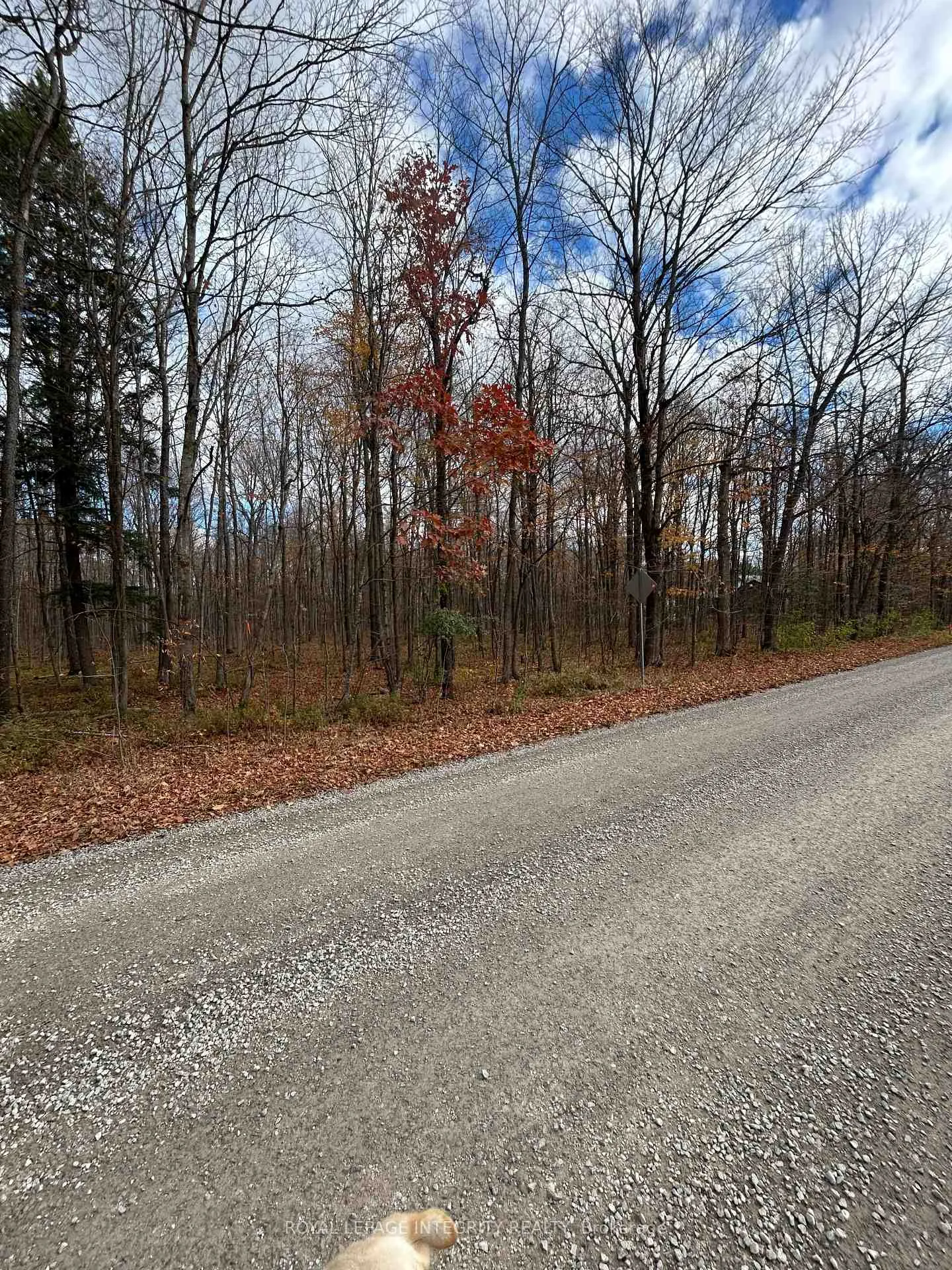 Photo 1 of PT LT 17 Kyle Road, Augusta, Augusta Twp — HOMEH