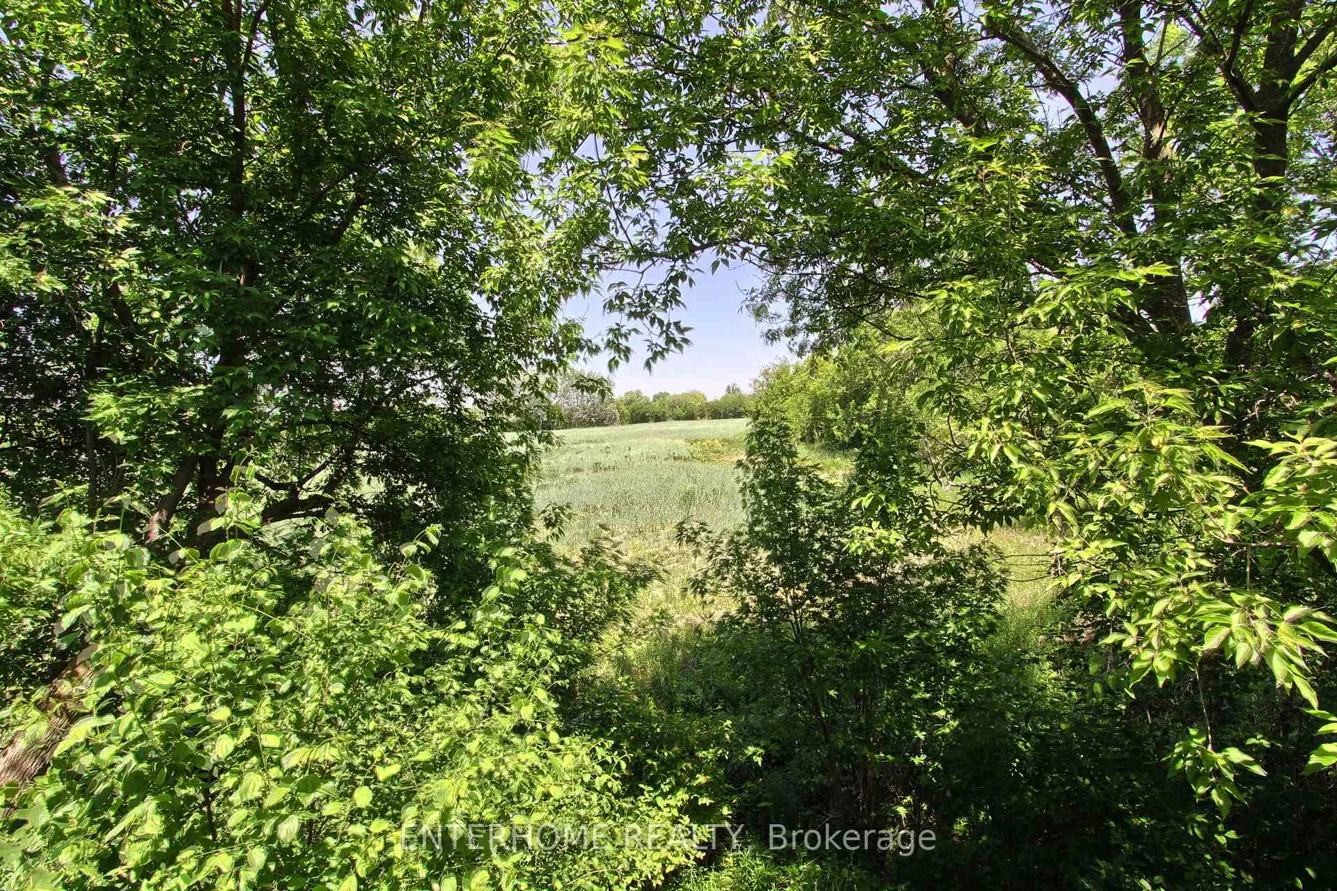 Photo 25 of 5 O'reilly's Lane, Caledon, Rural Caledon — HOMEH