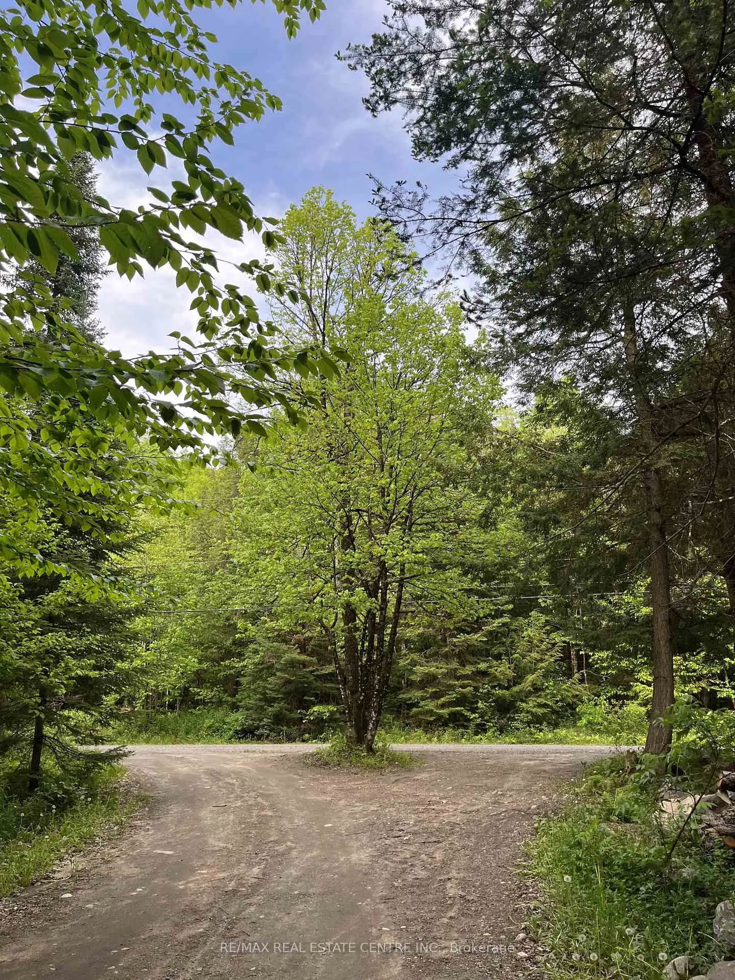 Photo 7 of 62 Cedar Shores Private, Bracebridge, Macaulay — HOMEH