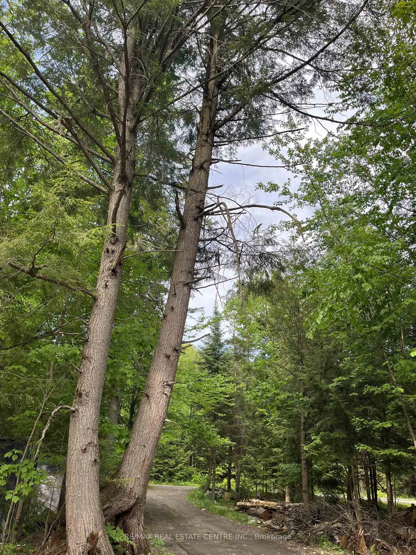 Photo 8 of 62 Cedar Shores Private, Bracebridge, Macaulay — HOMEH