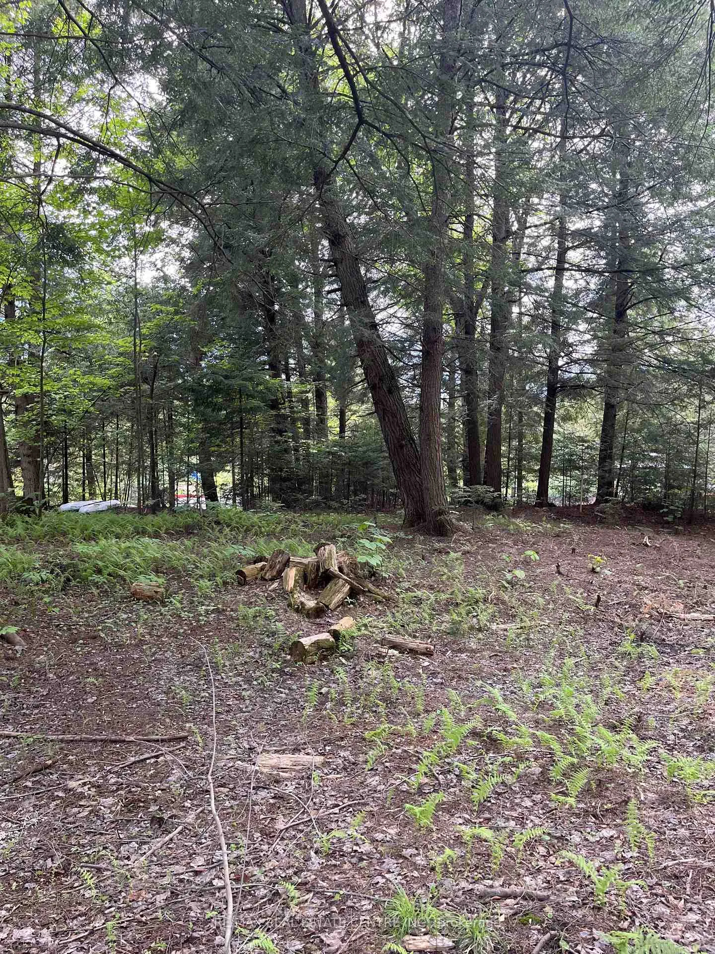 Photo 9 of 62 Cedar Shores Private, Bracebridge, Macaulay — HOMEH