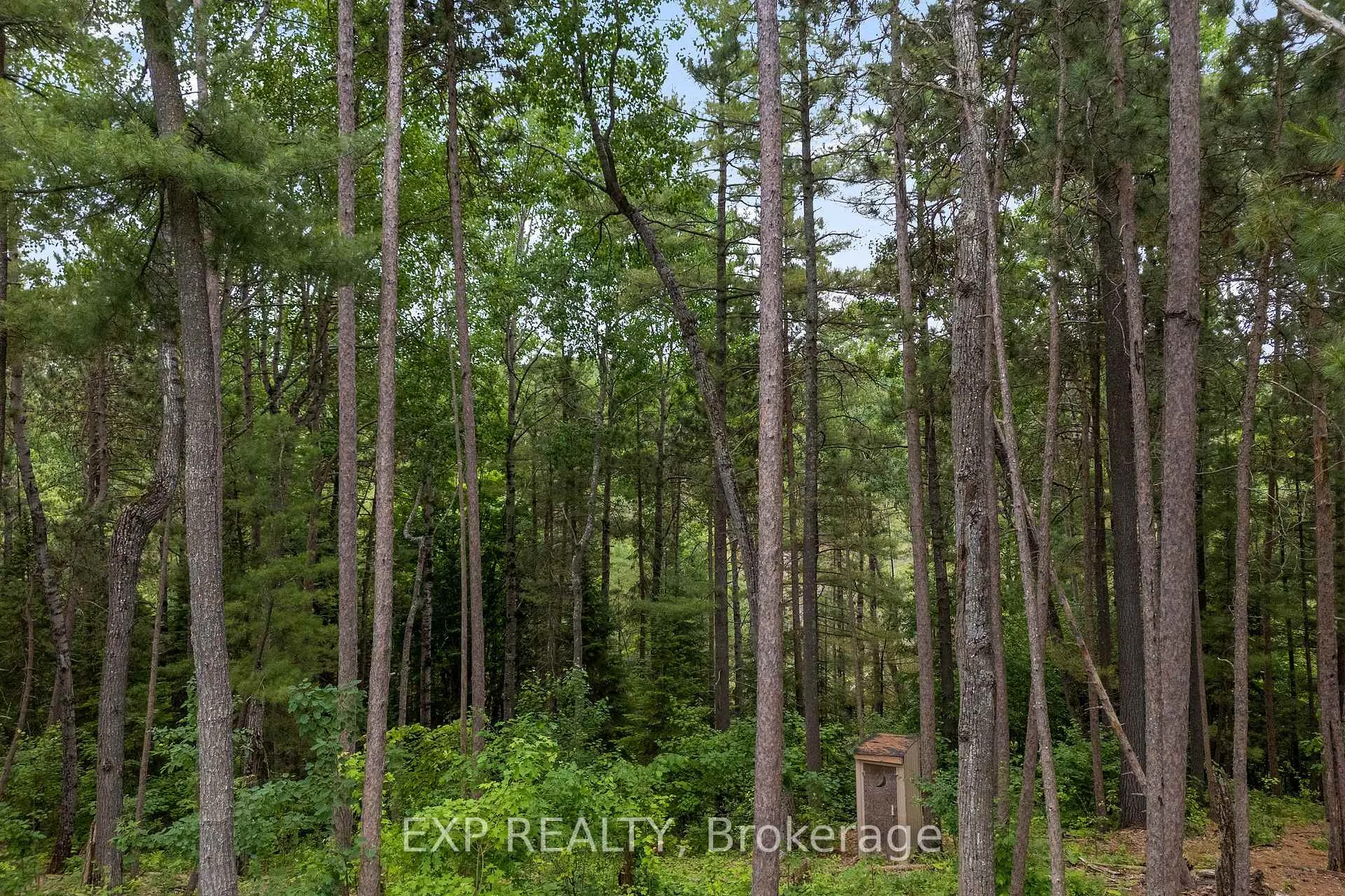 Photo 12 of 465 Humphries Road, Horton, Horton Twp — HOMEH