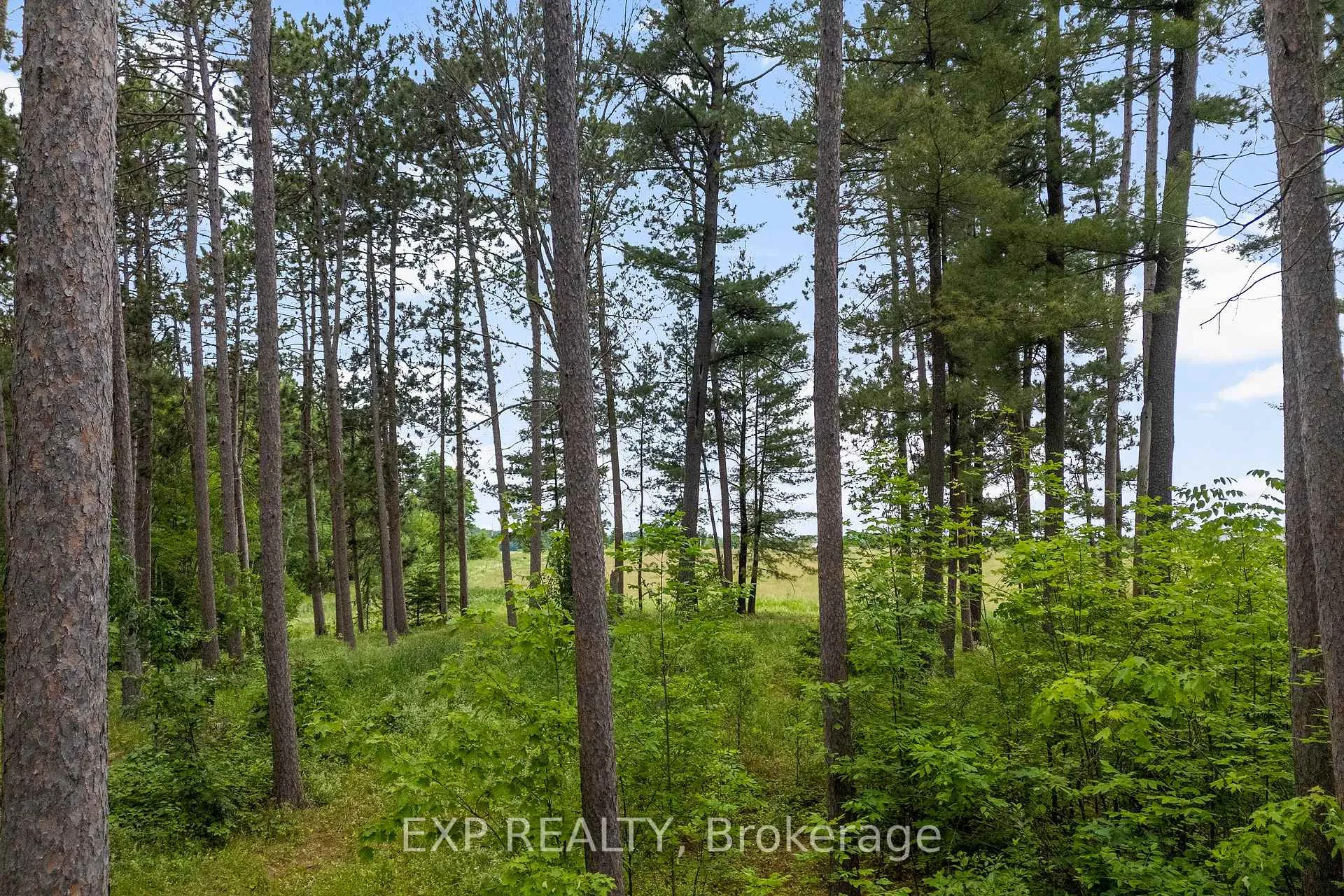 Photo 13 of 465 Humphries Road, Horton, Horton Twp — HOMEH