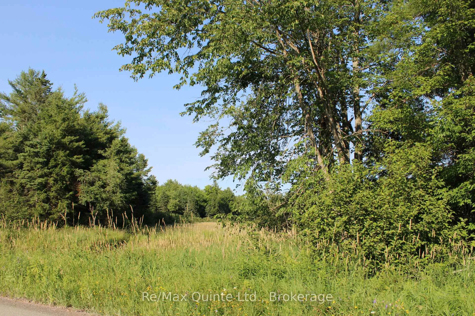 Photo of 494 Twin Sister Lakes Road