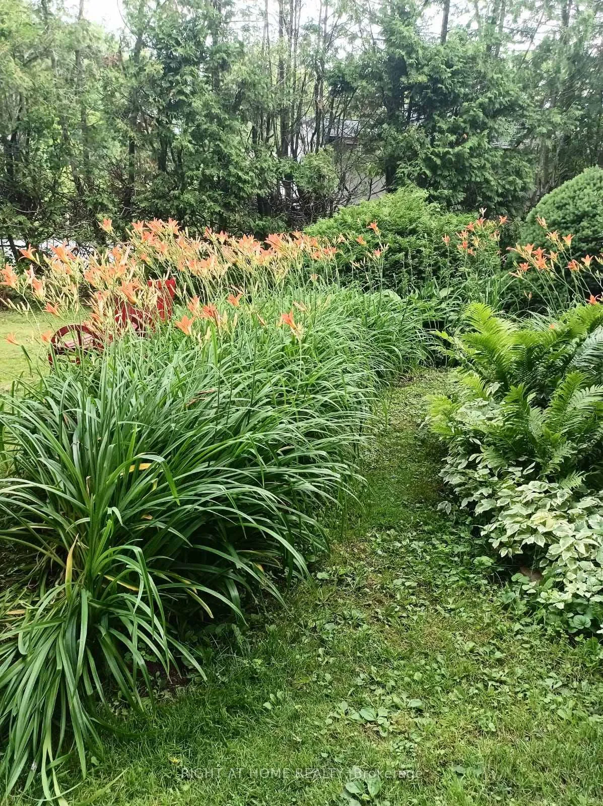 Photo 6 of 2323 Lakeshore Drive, Ramara, Rural Ramara — HOMEH