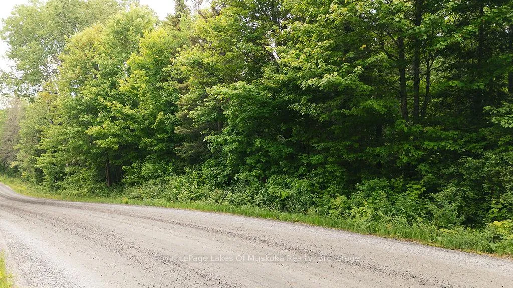 Photo 3 of Ely Side Road, Armour — HOMEH