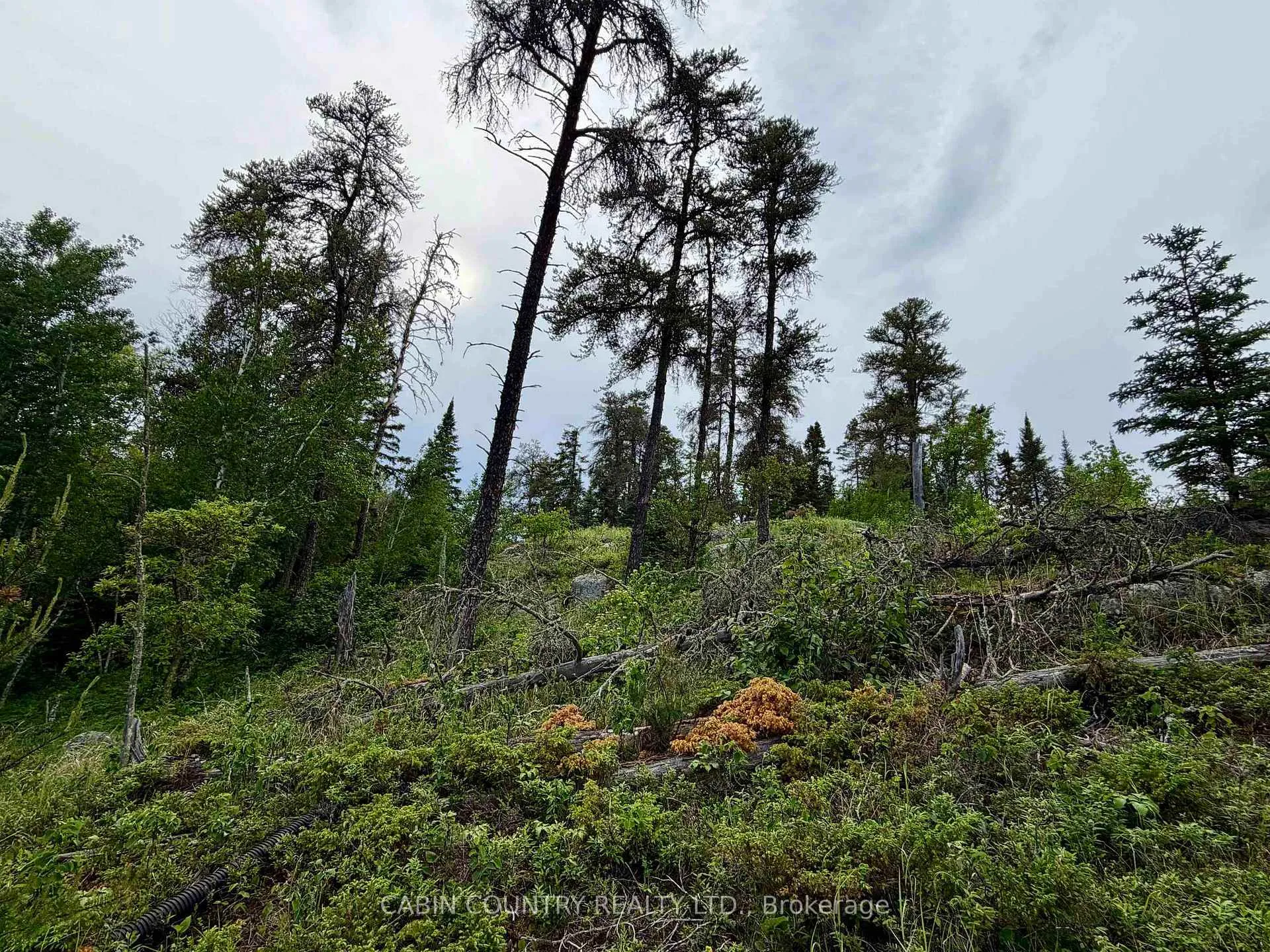 Photo 20 of 13 Duffus Road, Kenora, Keewatin — HOMEH