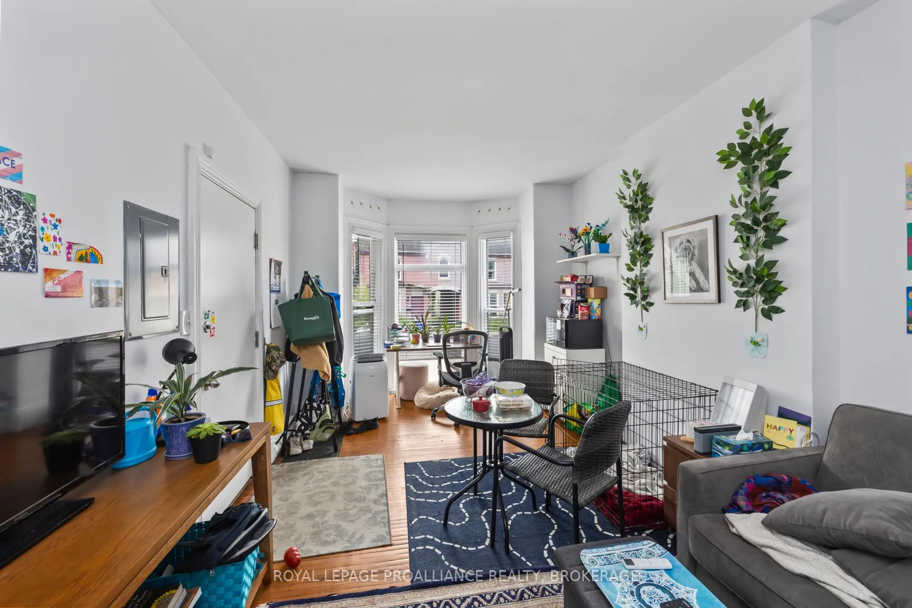 Photo 13 of 325 Johnston Street, Kingston, Central City East — HOMEH