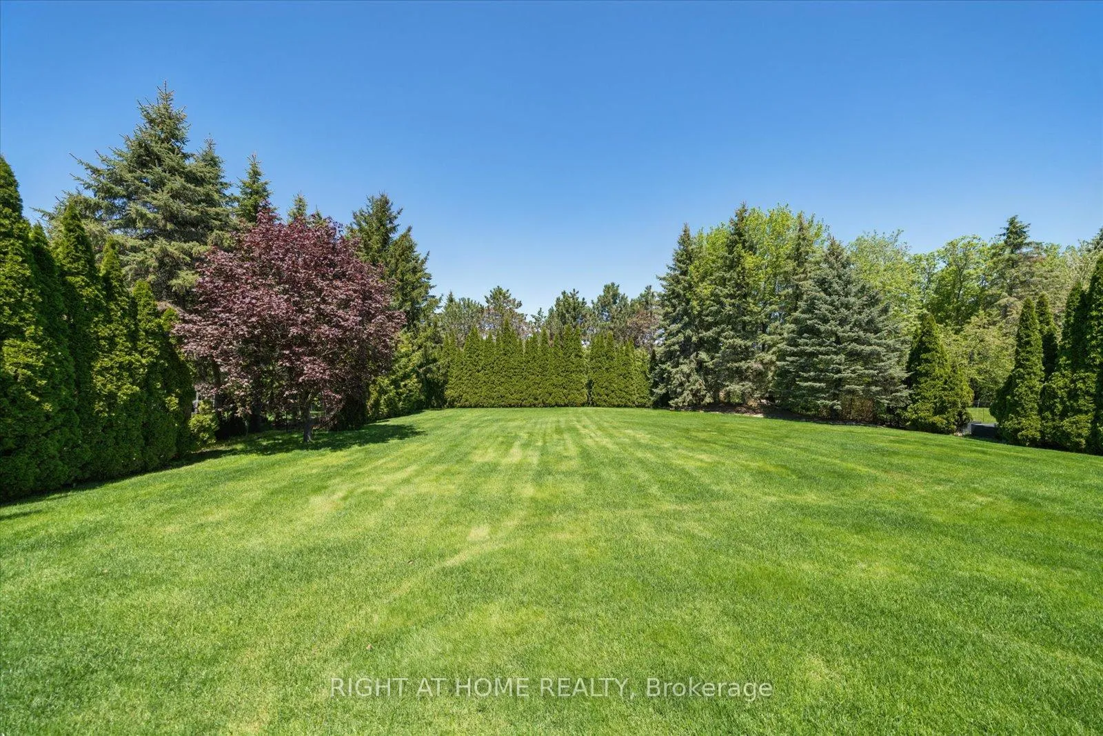Photo 36 of 137 Treegrove Circle, Aurora, Hills of St Andrew — HOMEH