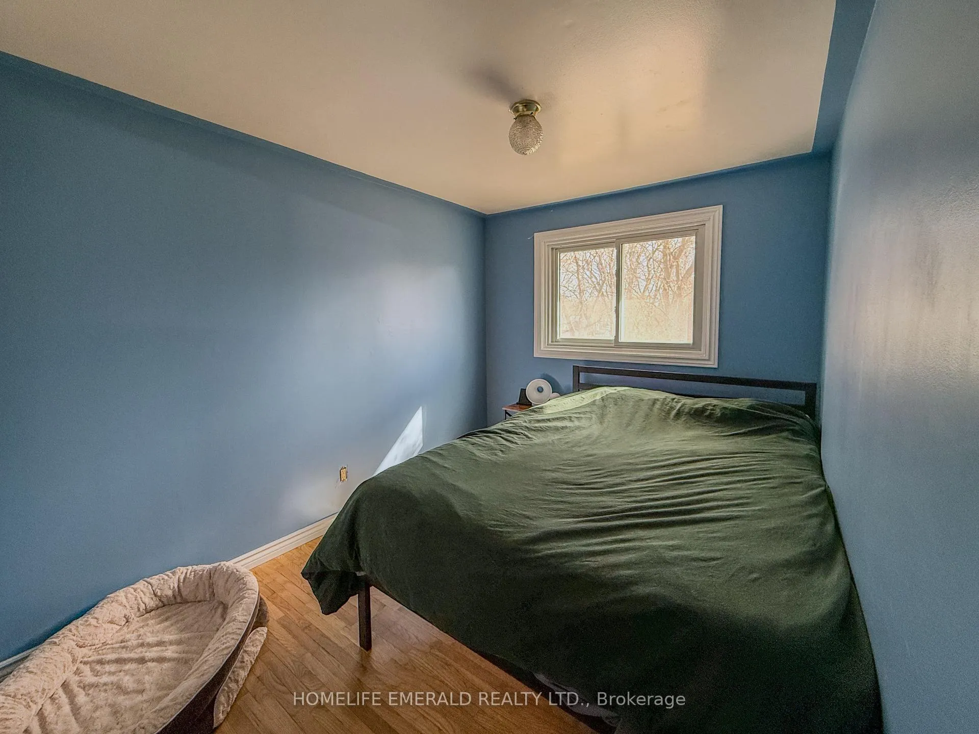 Photo 20 of 74 Vernon Street, Essa, Angus — HOMEH