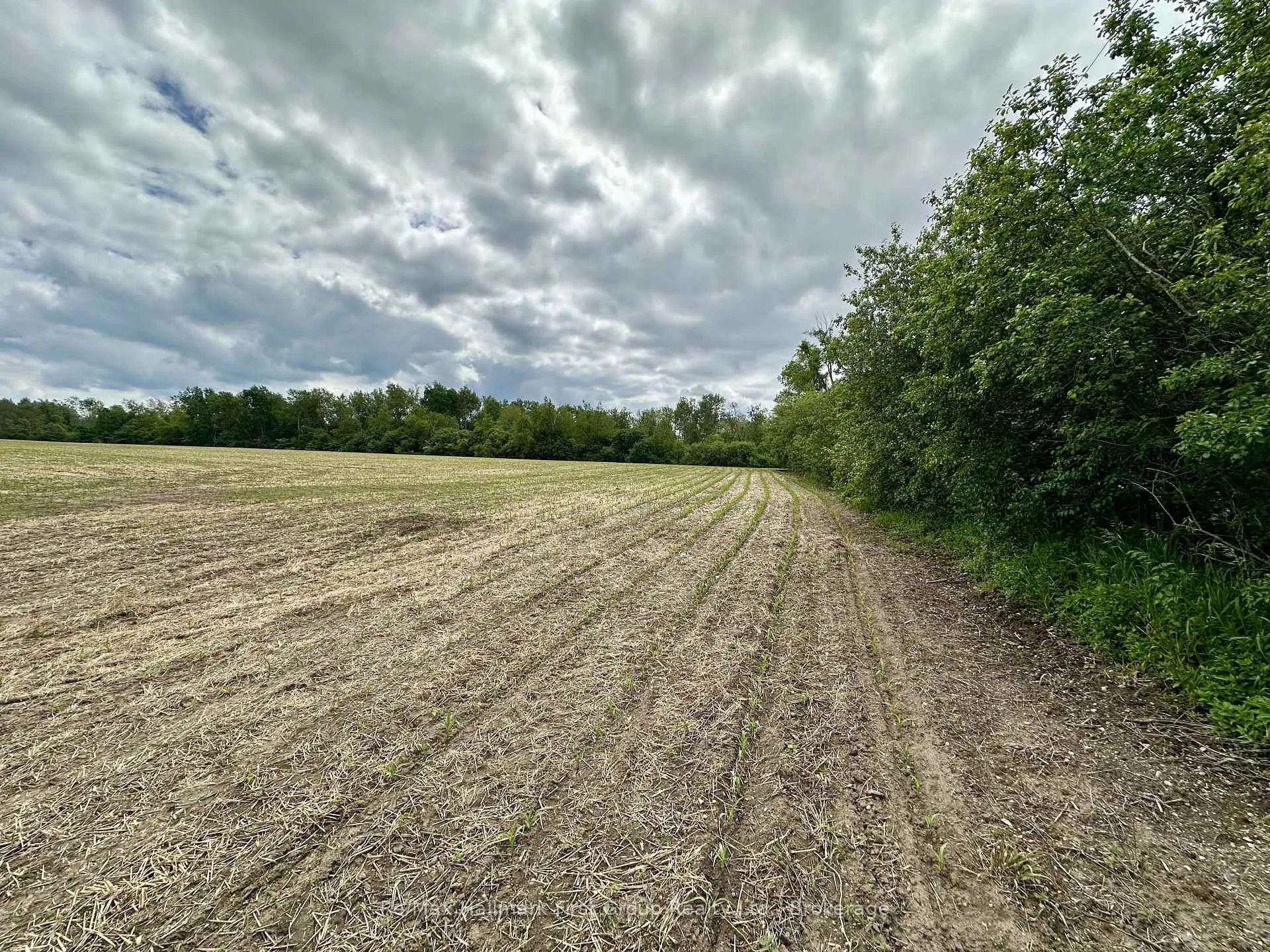 Photo 3 of 430 Scugog 6 Line, Scugog, Port Perry — HOMEH
