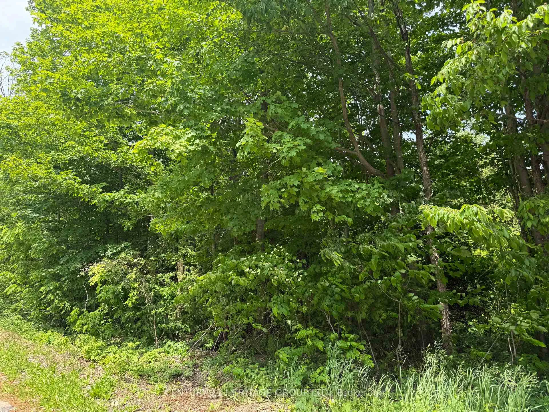Photo 4 of 7 Line, Innisfil, Rural Innisfil — HOMEH