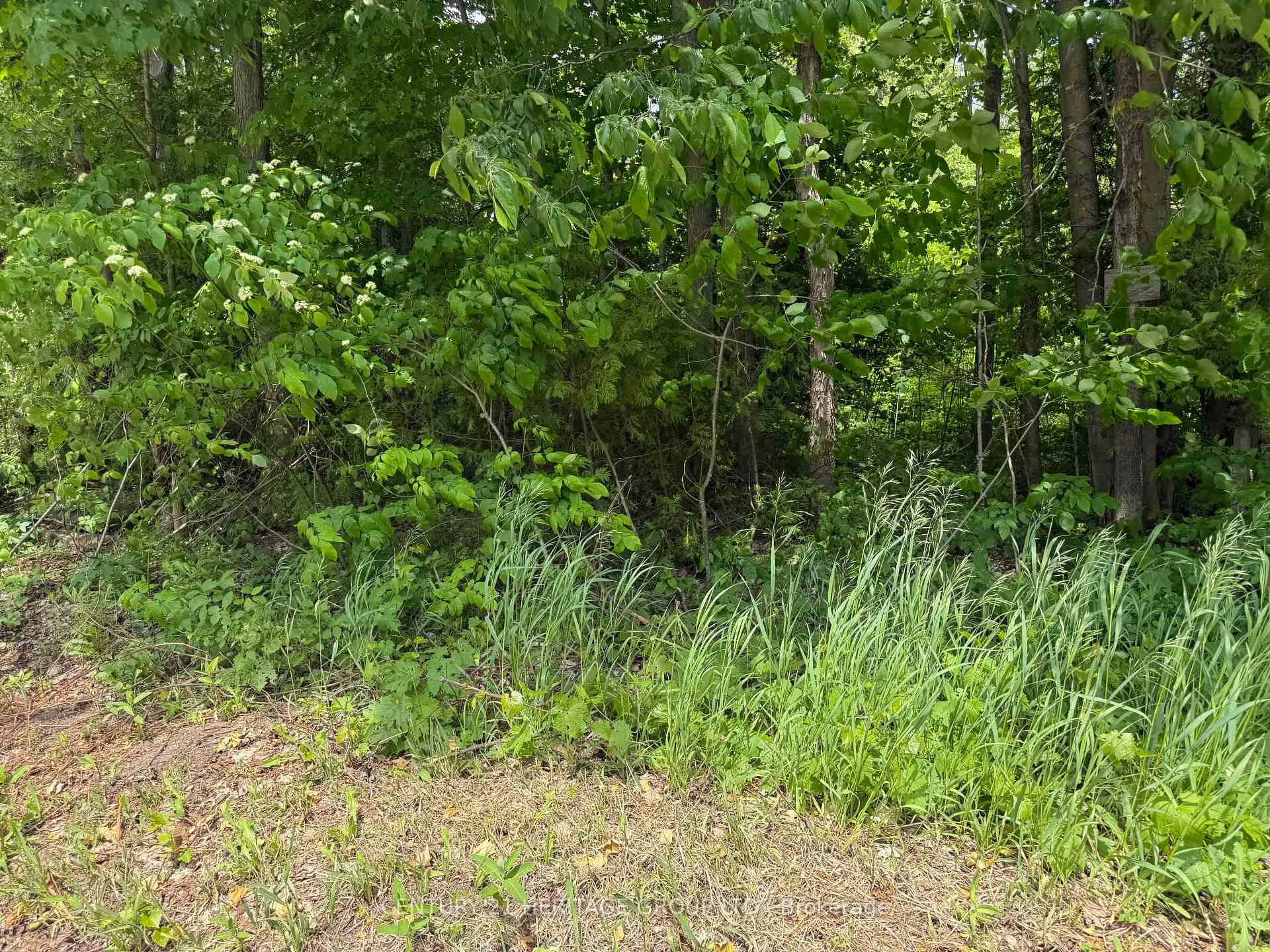 Photo 6 of 7 Line, Innisfil, Rural Innisfil — HOMEH