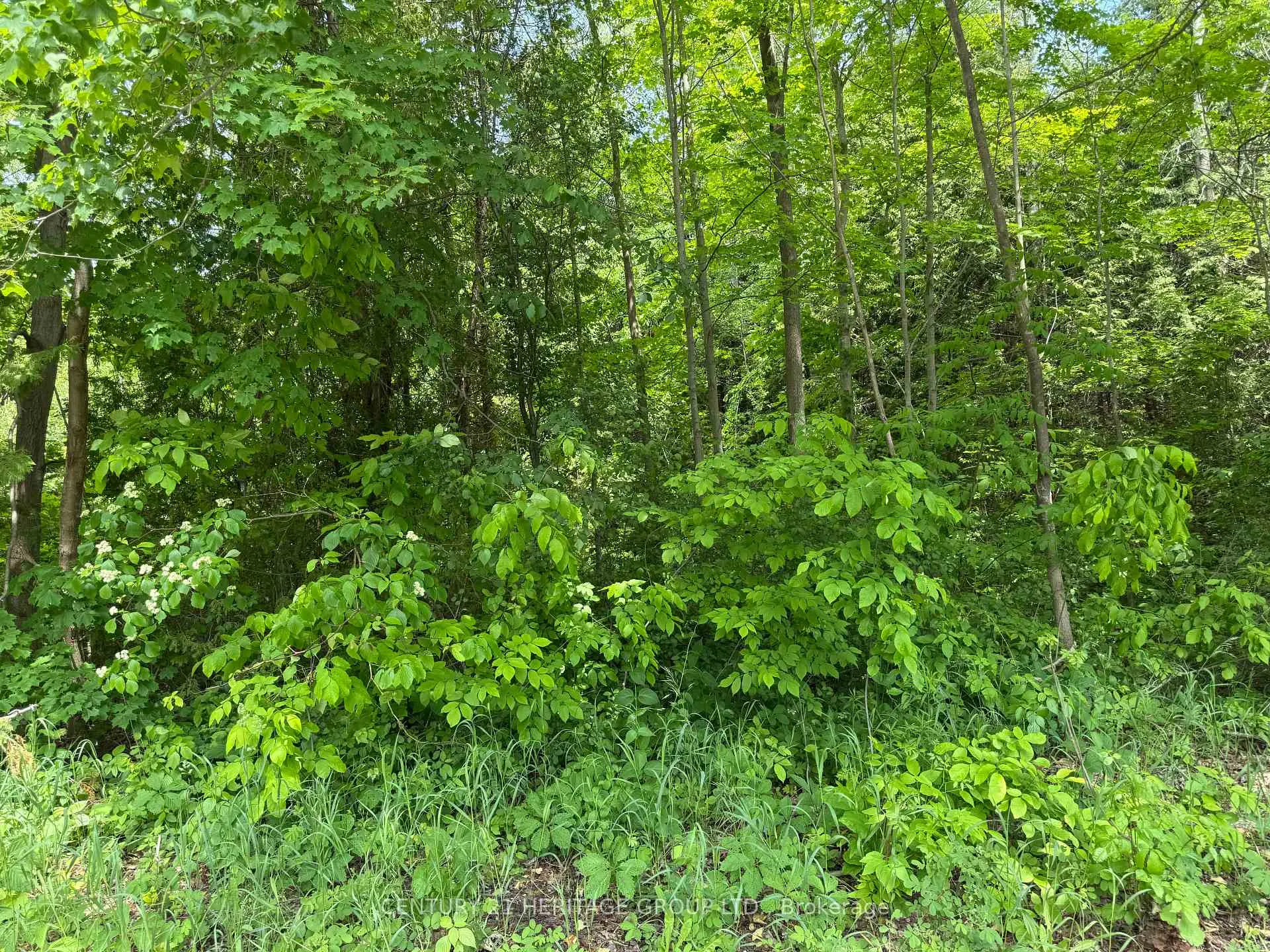 Photo 7 of 7 Line, Innisfil, Rural Innisfil — HOMEH
