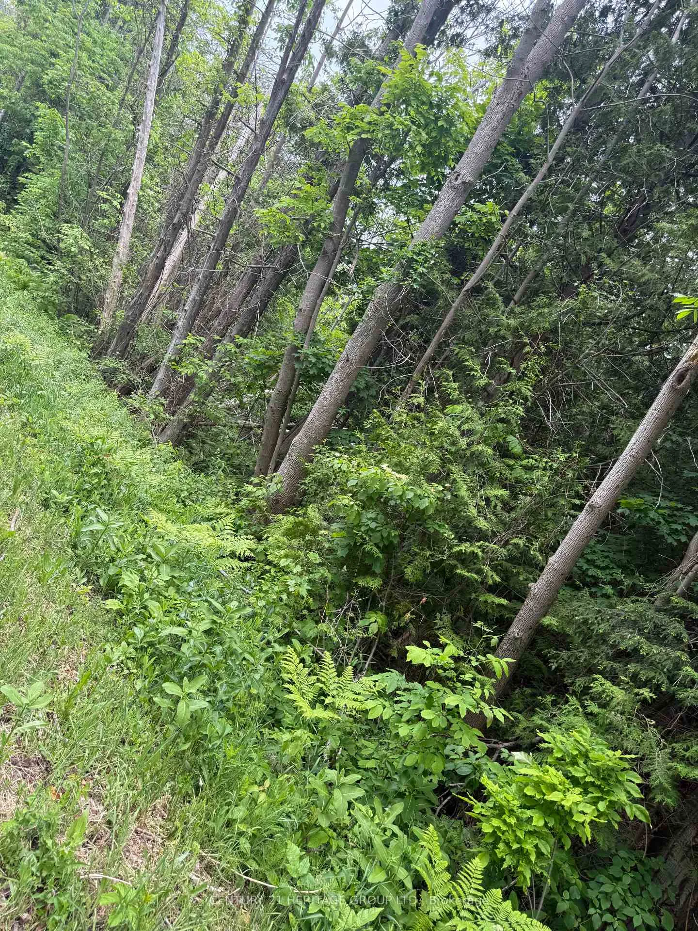 Photo 9 of 7 Line, Innisfil, Rural Innisfil — HOMEH