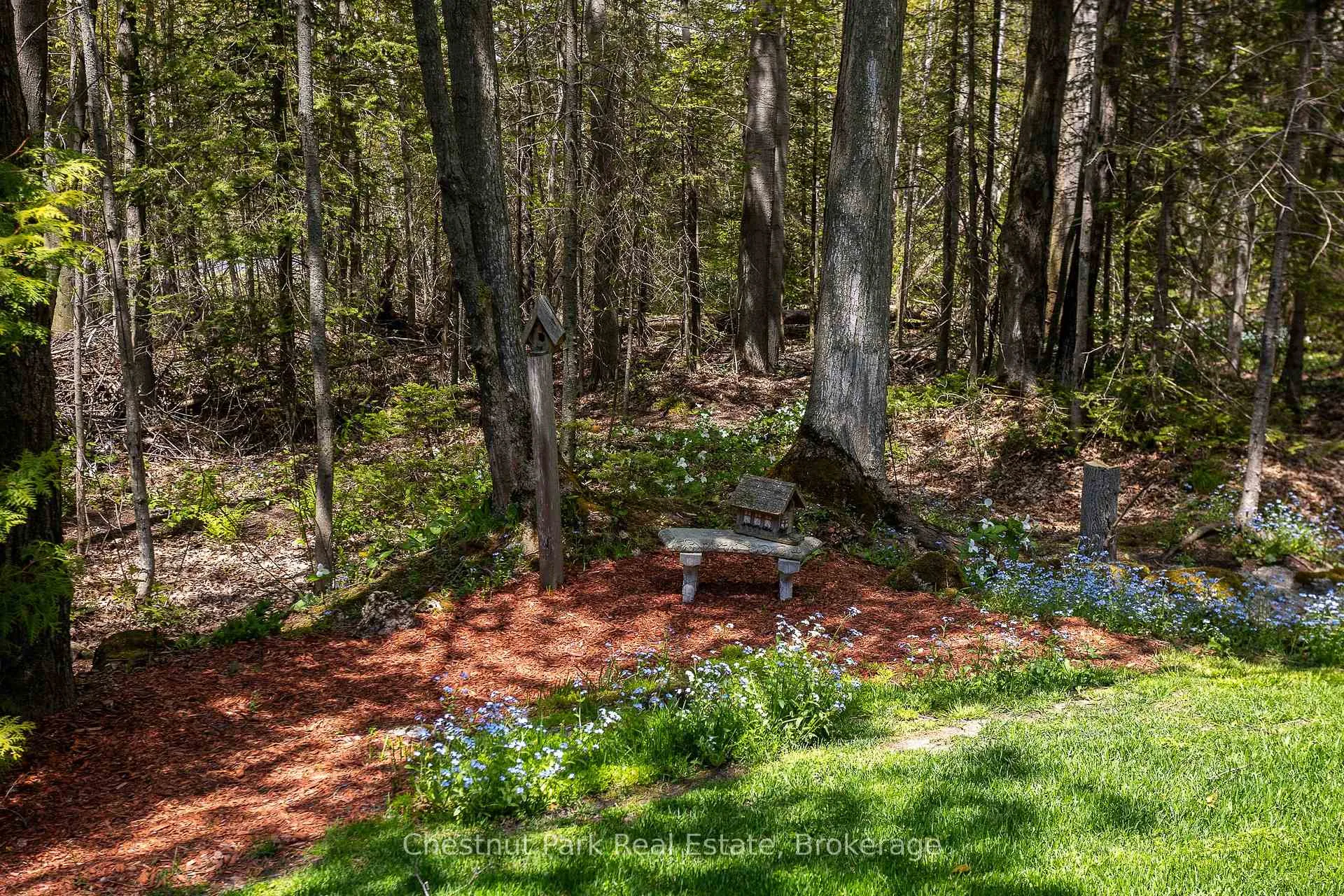 Photo 12 of 64 Maple Golf Crescent, Northern Bruce Peninsula — HOMEH