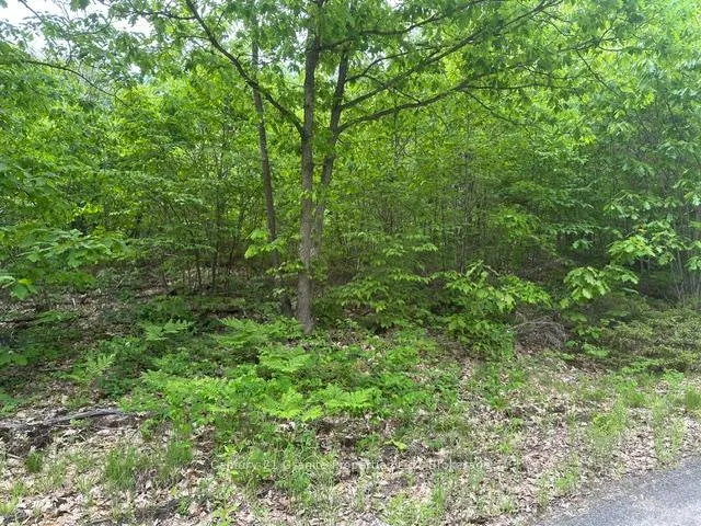 Photo 3 of Seguin — HOMEH