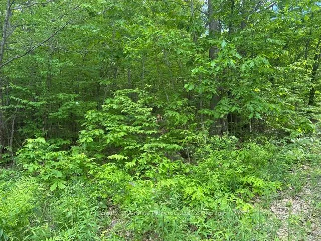 Photo 4 of Seguin — HOMEH