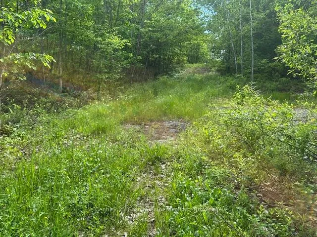 Photo 5 of Seguin — HOMEH