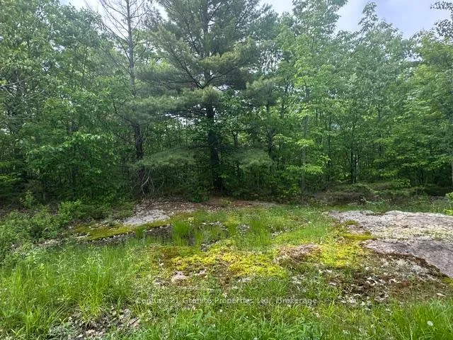 Photo 6 of Seguin — HOMEH